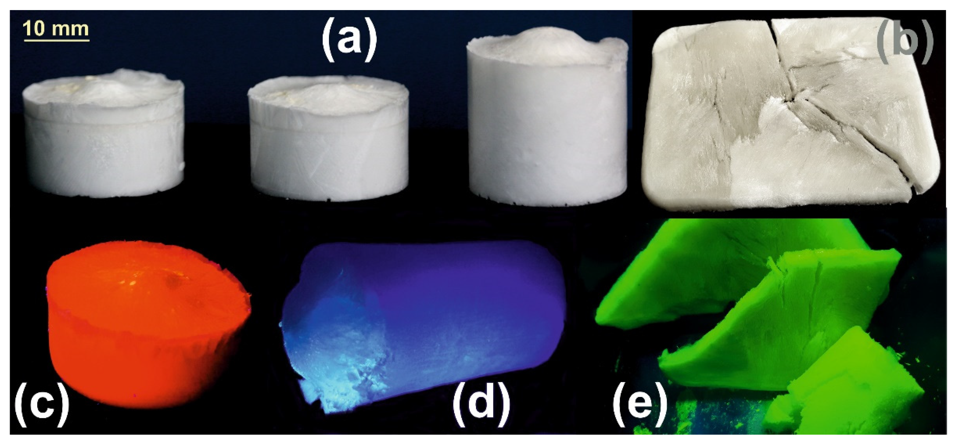 Ijms 23 16004 g006 Ijms 23 16004 g006