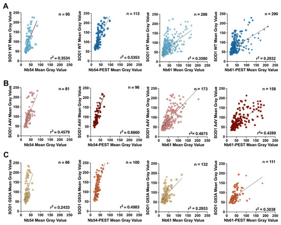 Anti-SOD1 Nanobodies That Stabilize Misfolded SOD1 Proteins