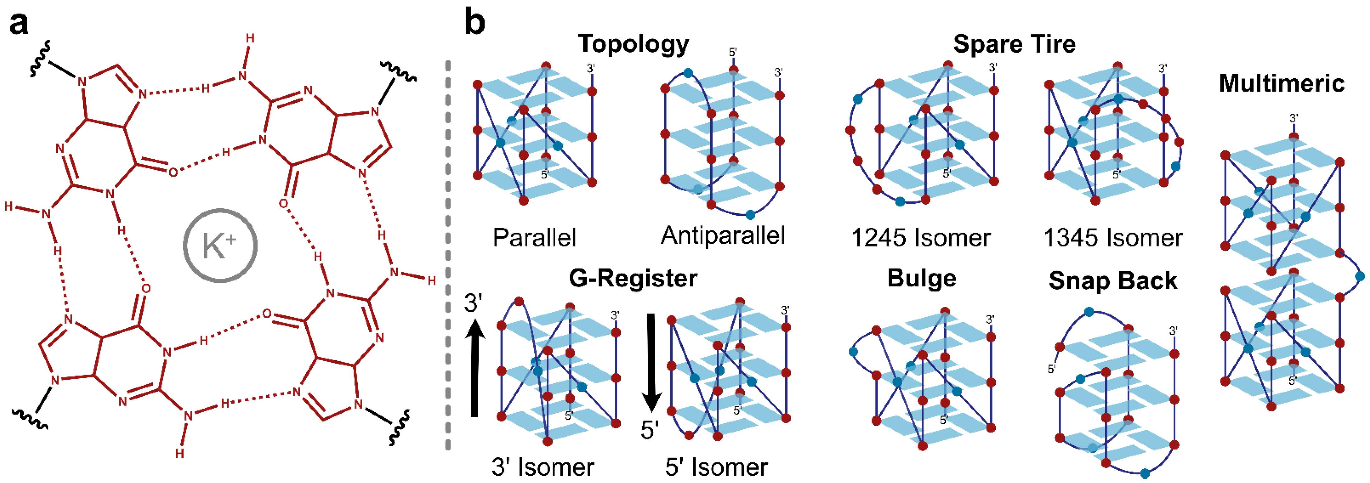 Ijms 23 16020 g001 Ijms 23 16020 g001