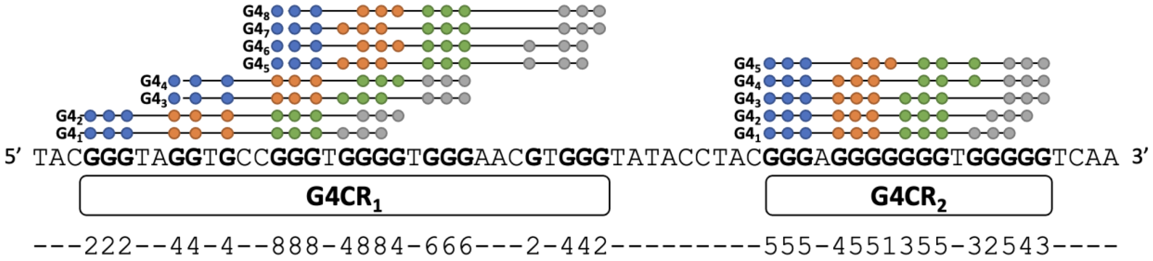 Ijms 23 16020 g003 Ijms 23 16020 g003