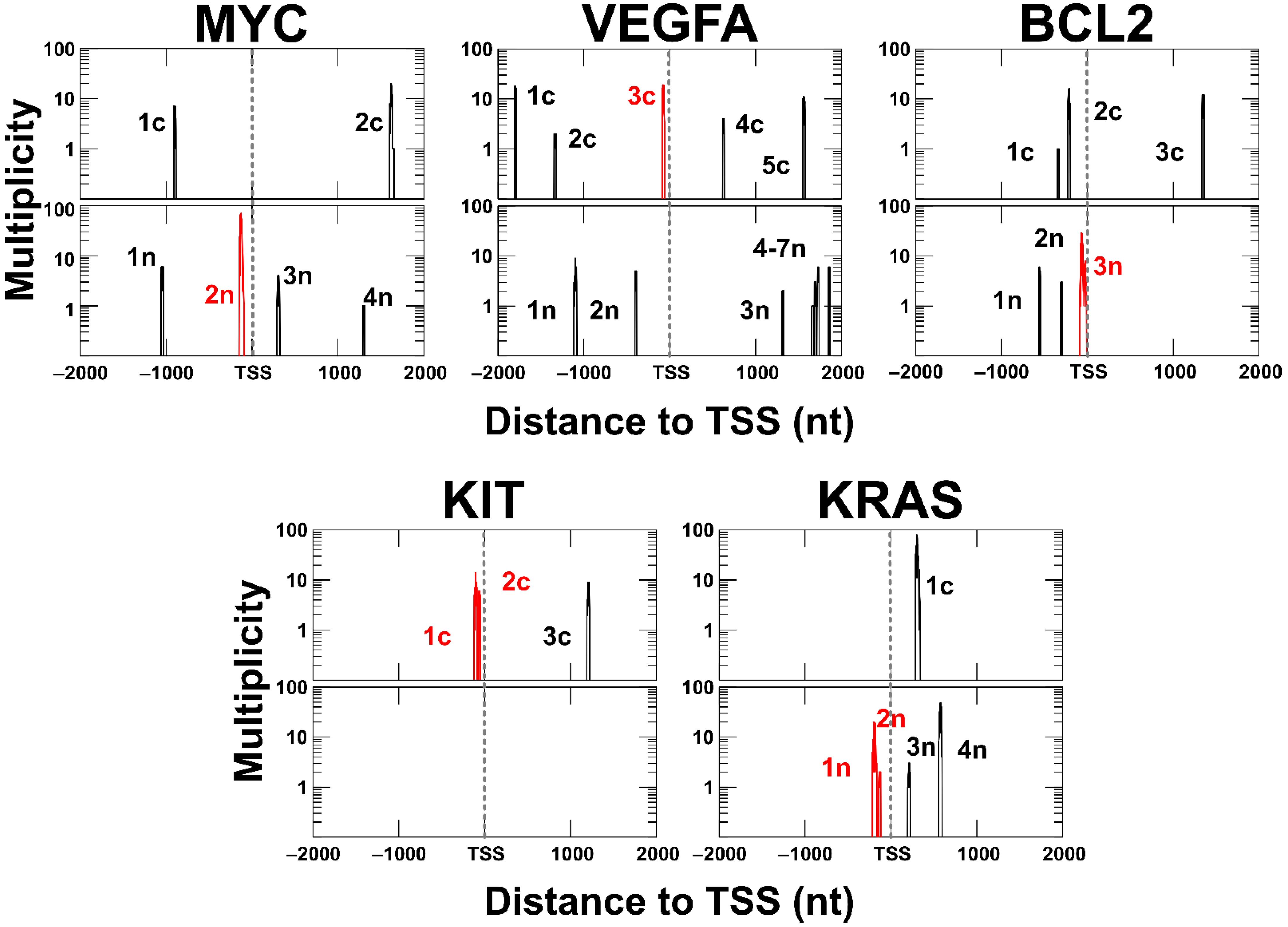 Ijms 23 16020 g007 Ijms 23 16020 g007