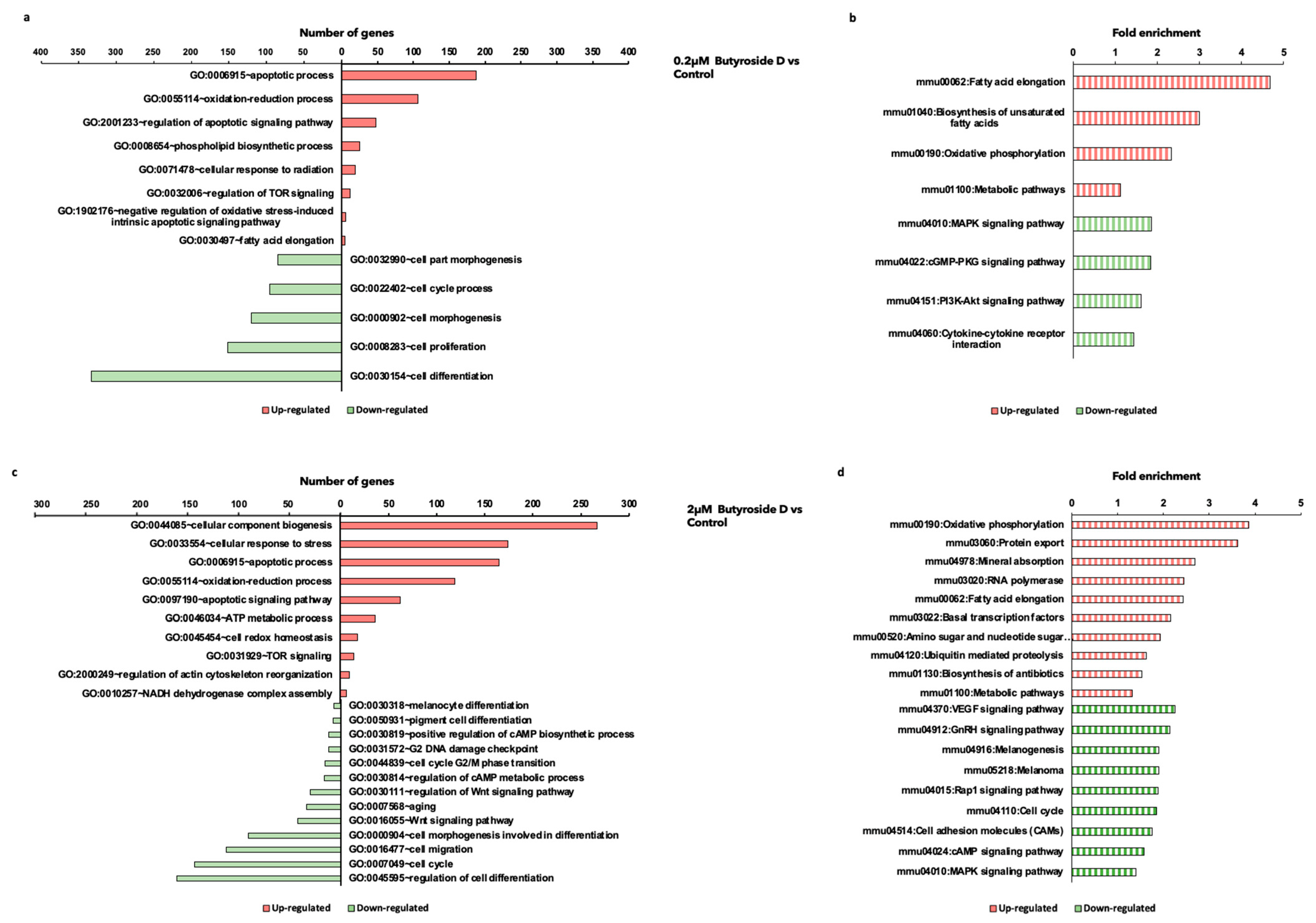 Ijms 23 16021 g004 Ijms 23 16021 g004