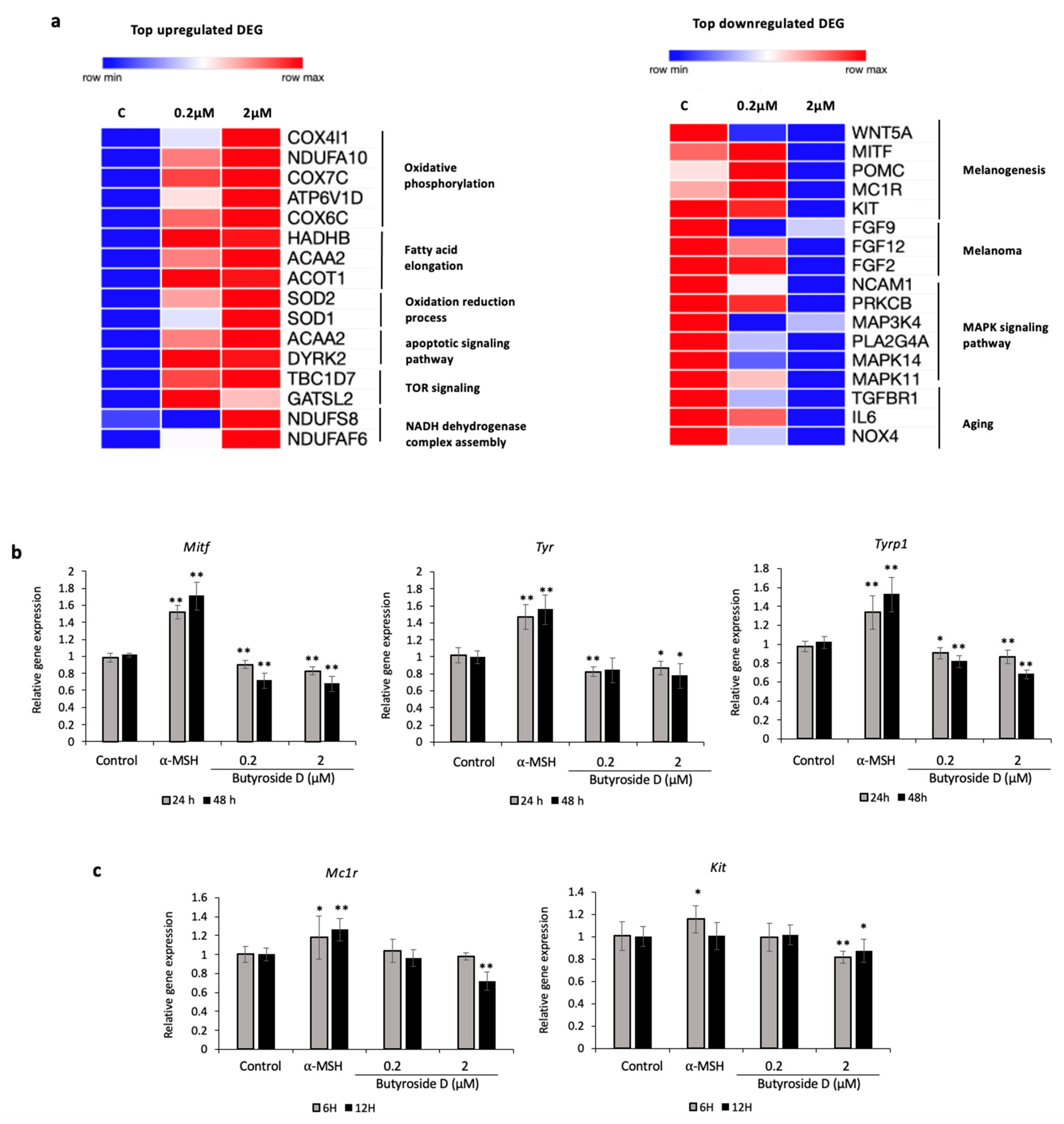 Ijms 23 16021 g005 Ijms 23 16021 g005