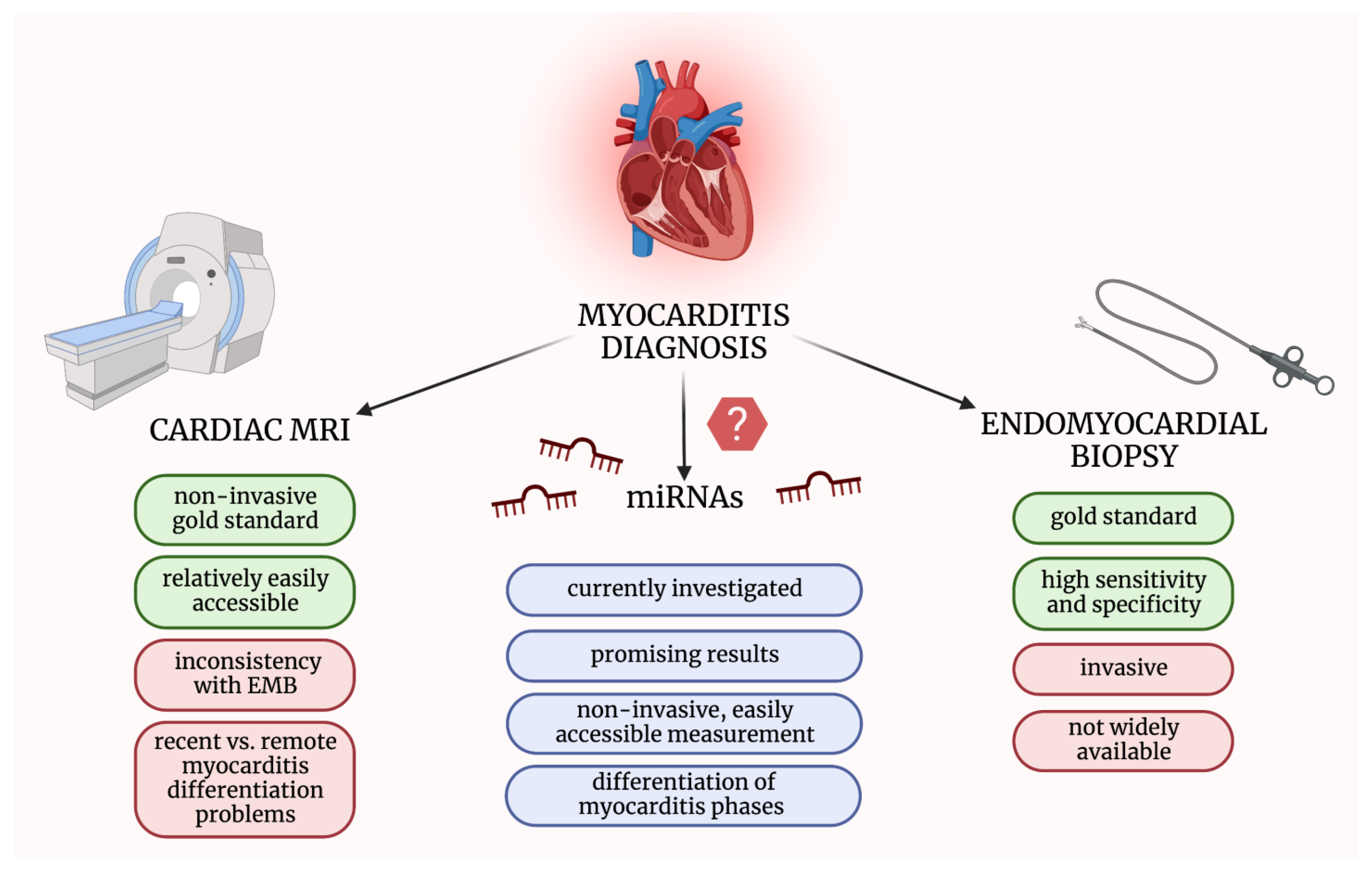 The role of micrornas in myocarditis what can we learn from clinical