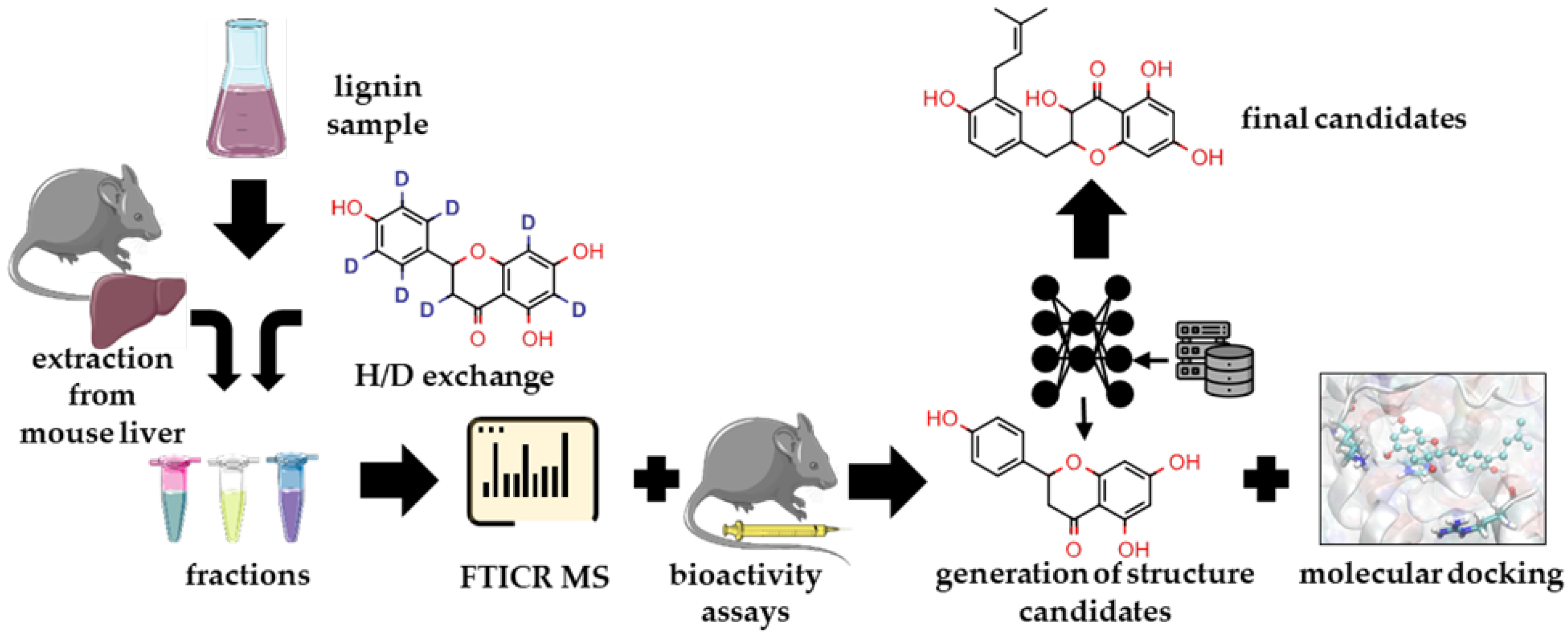 Ijms 23 16025 g001 Ijms 23 16025 g001