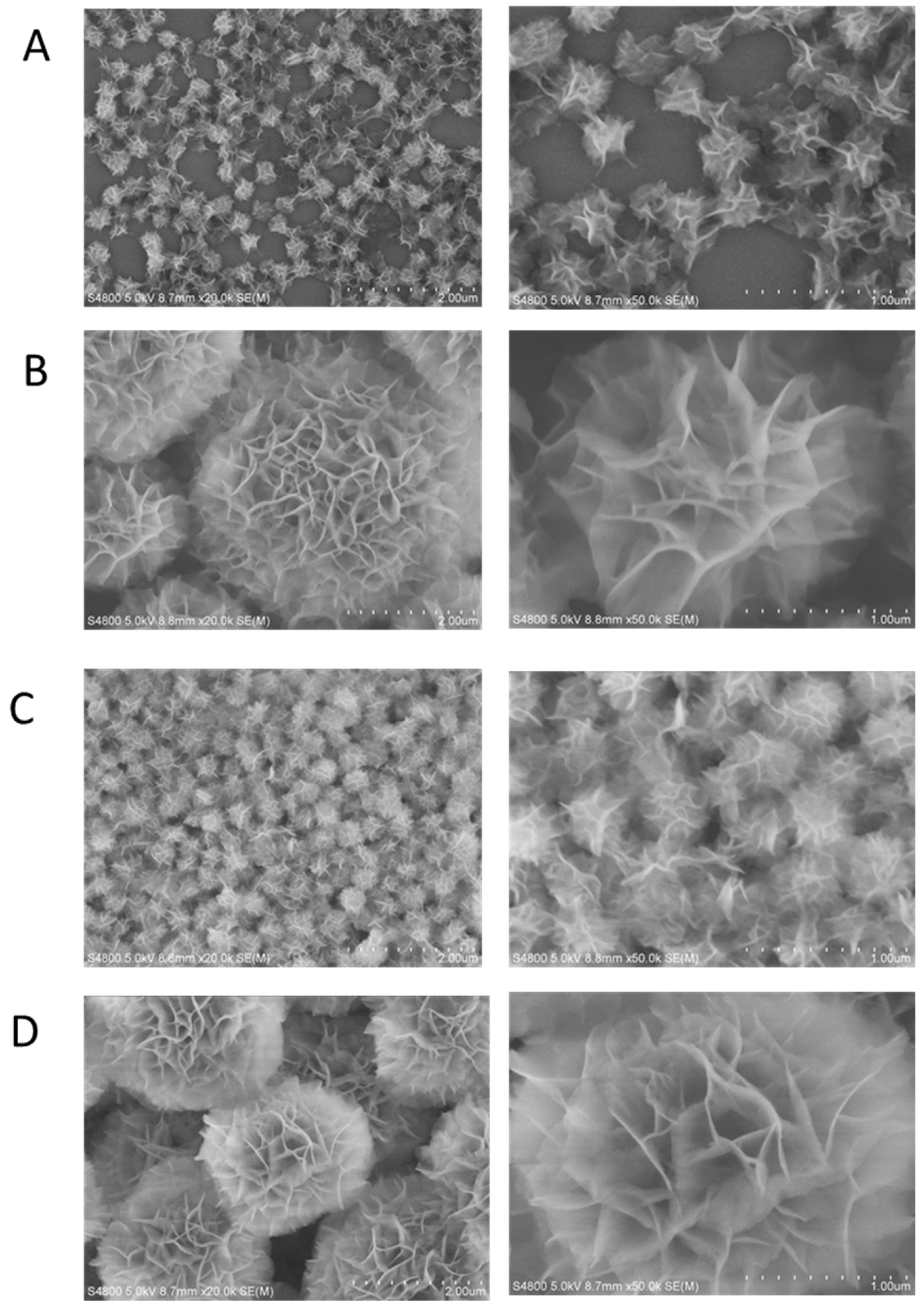 Ijms 23 16030 g001 Ijms 23 16030 g001