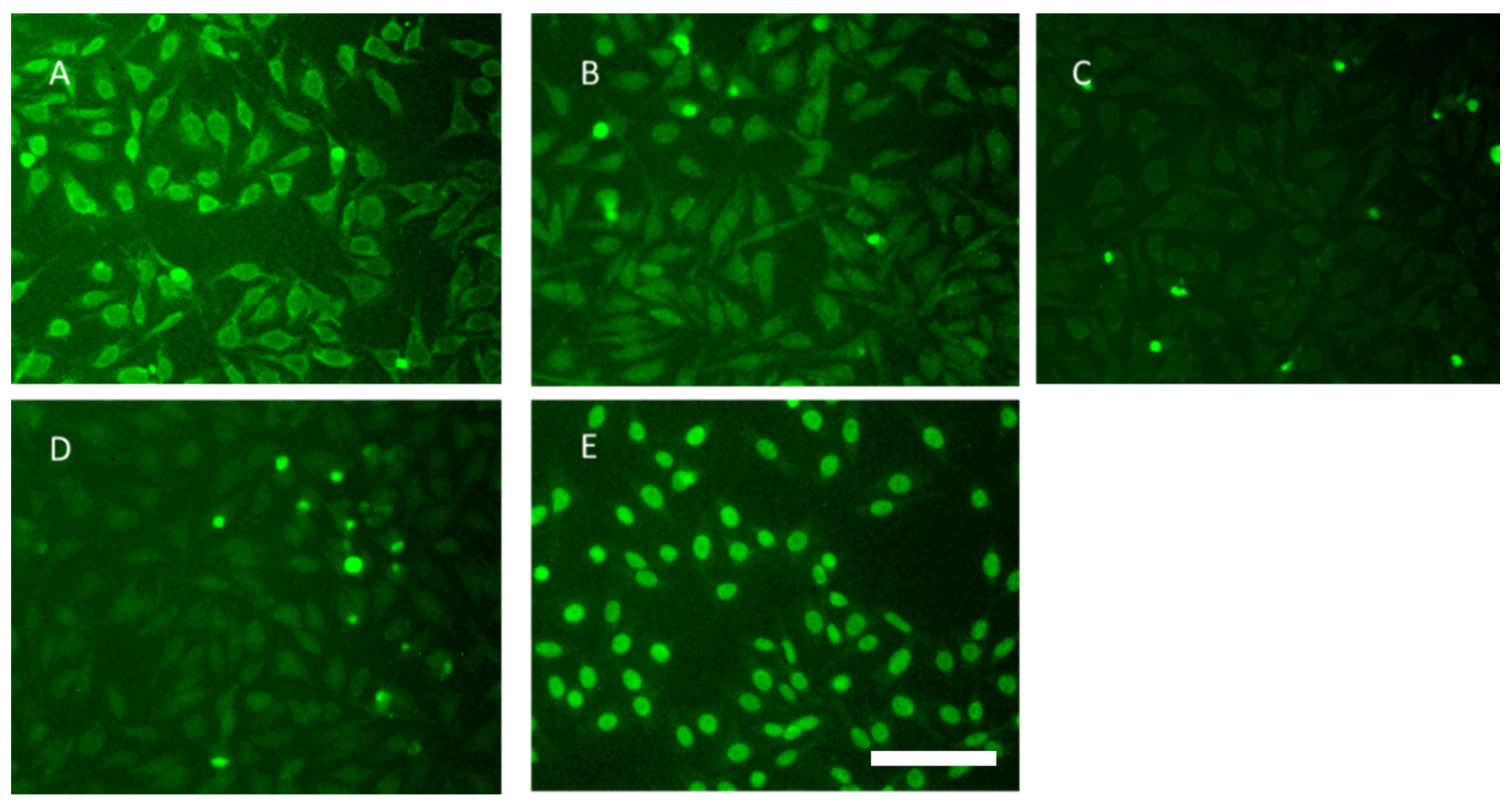 Ijms 23 16030 g002 Ijms 23 16030 g002