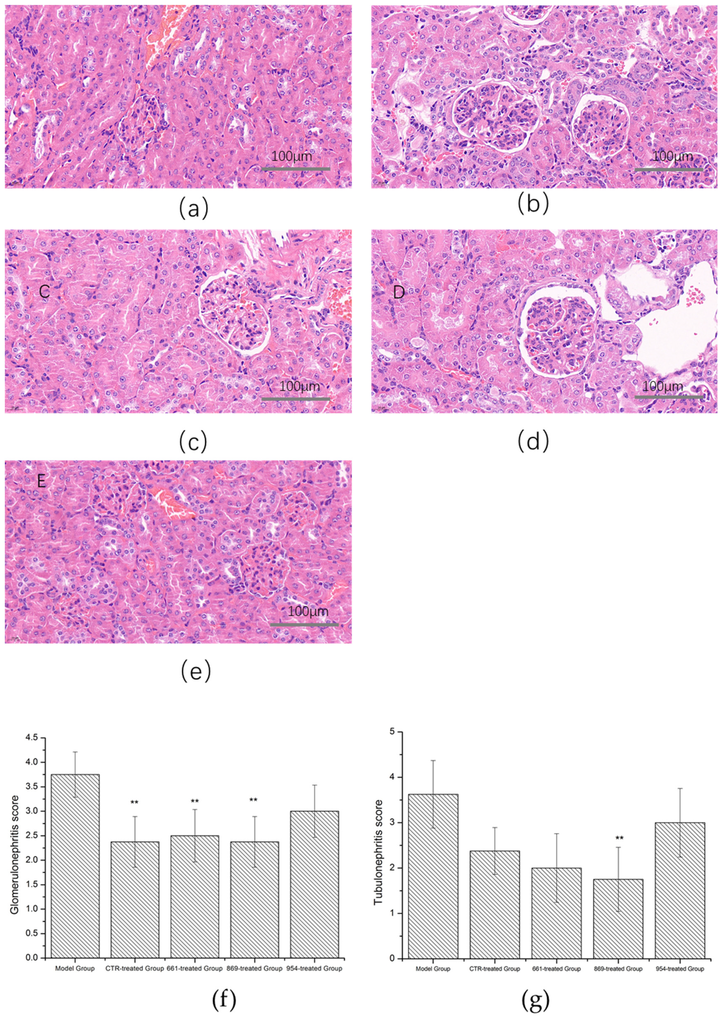 Ijms 23 16030 g005 Ijms 23 16030 g005