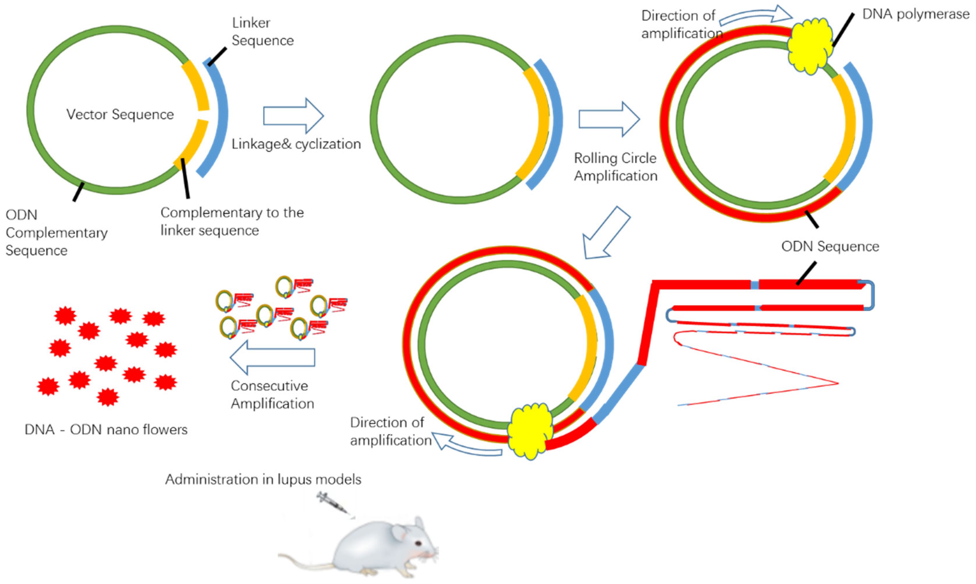 Ijms 23 16030 g008 Ijms 23 16030 g008