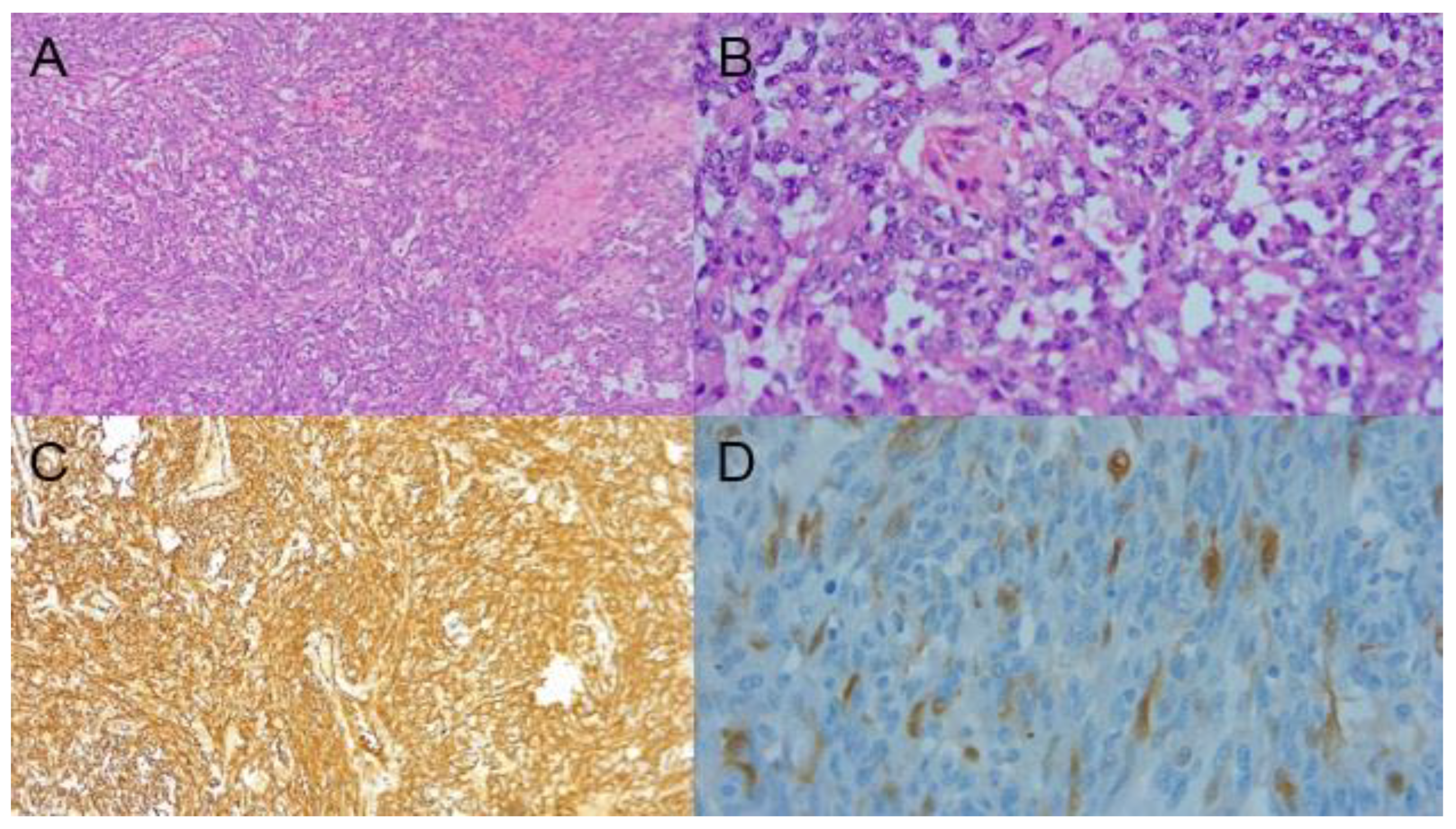 Ijms 23 16032 g003 Ijms 23 16032 g003