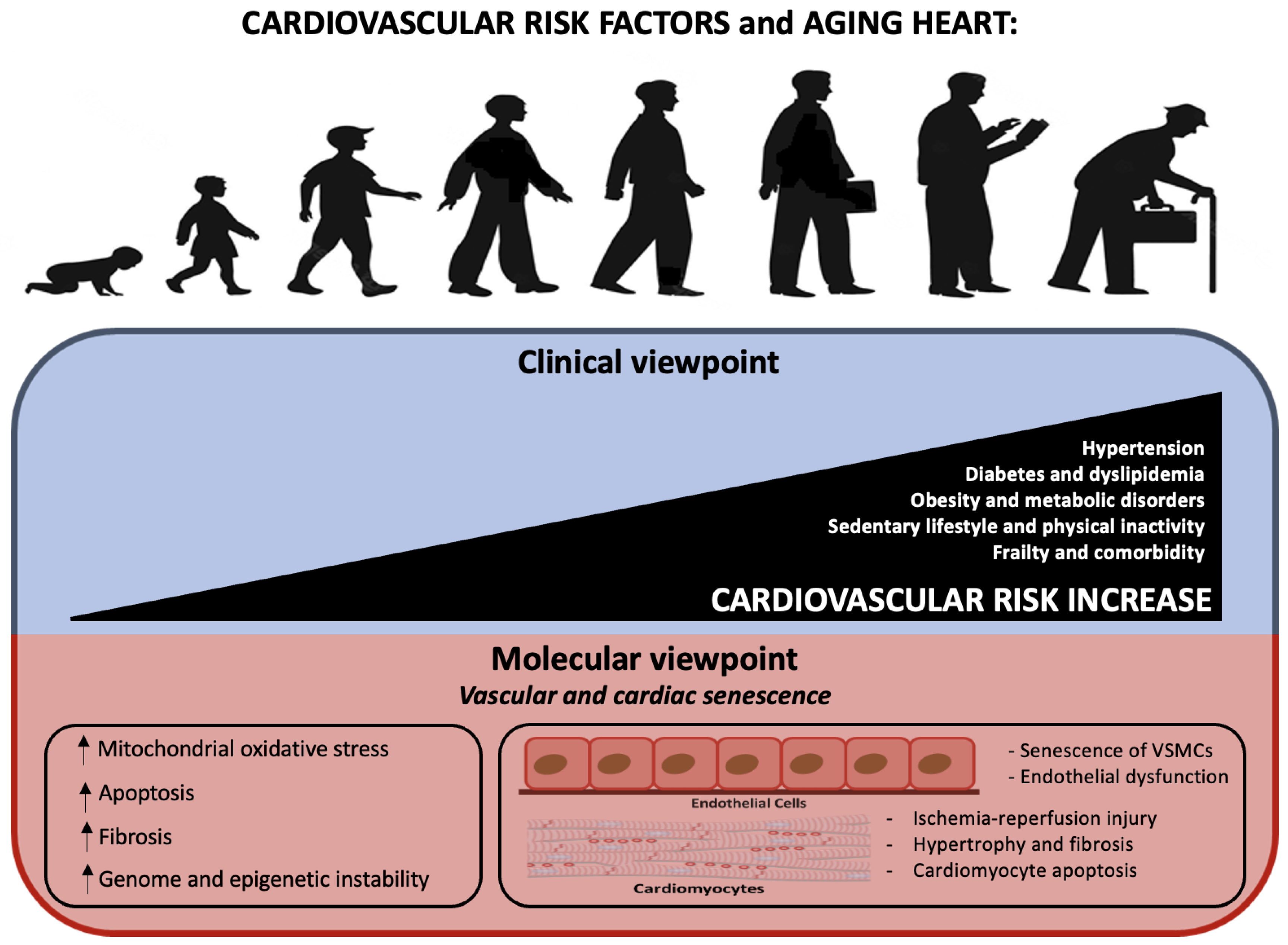 Ijms 23 16033 g002 Ijms 23 16033 g002