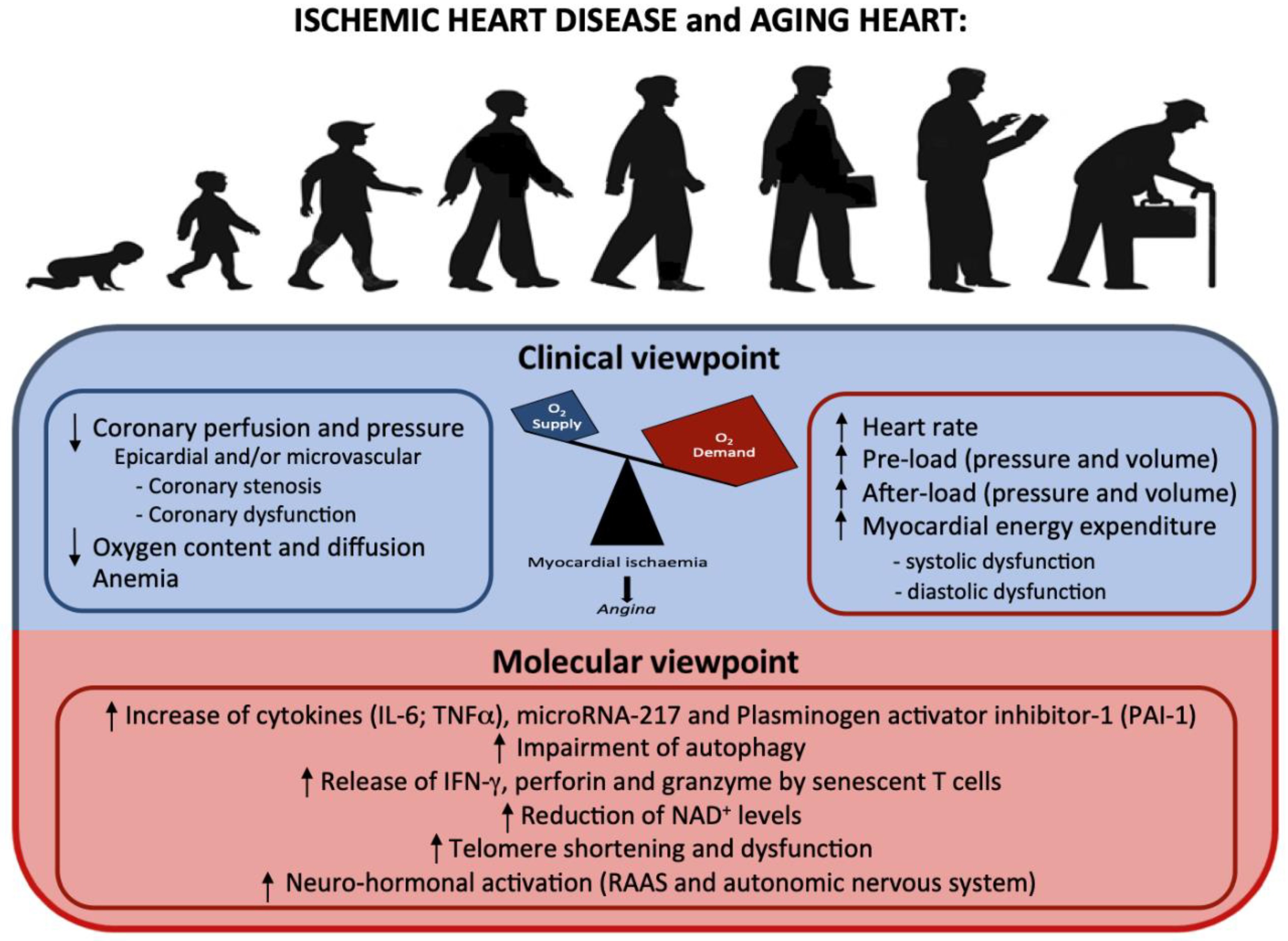 Ijms 23 16033 g003 Ijms 23 16033 g003
