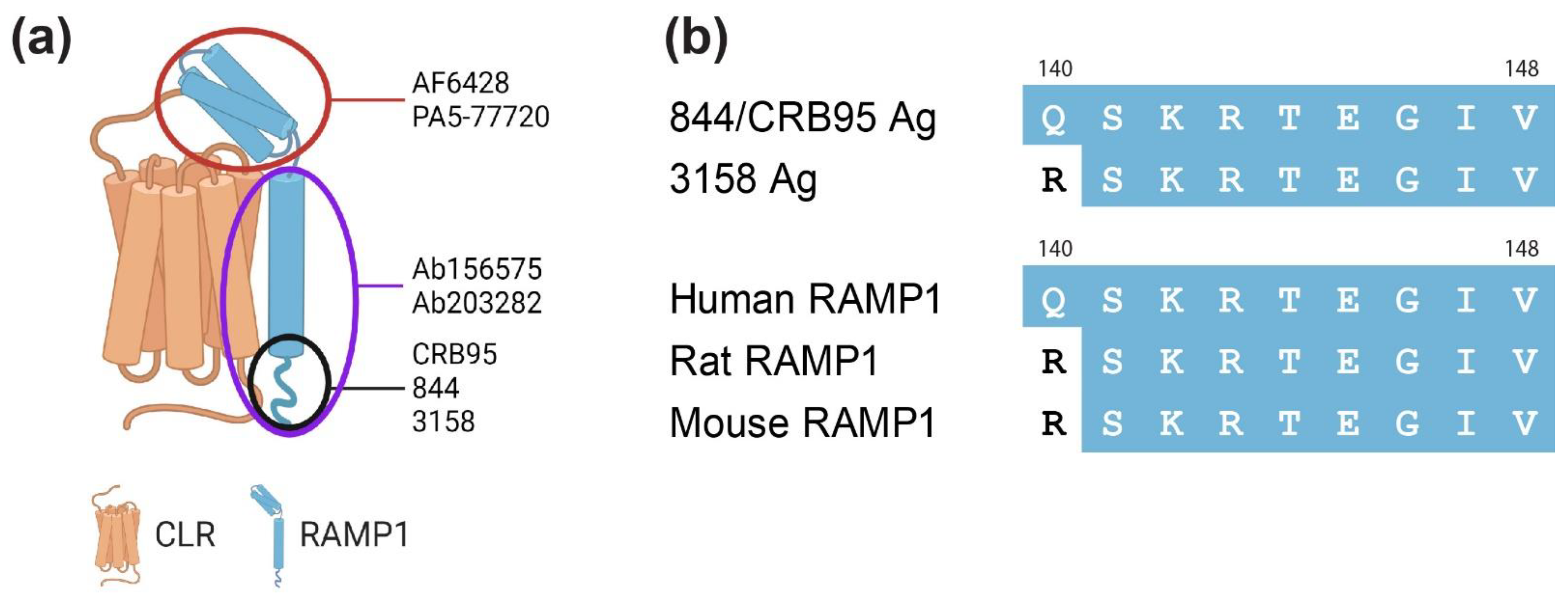 Ijms 23 16035 g001 Ijms 23 16035 g001