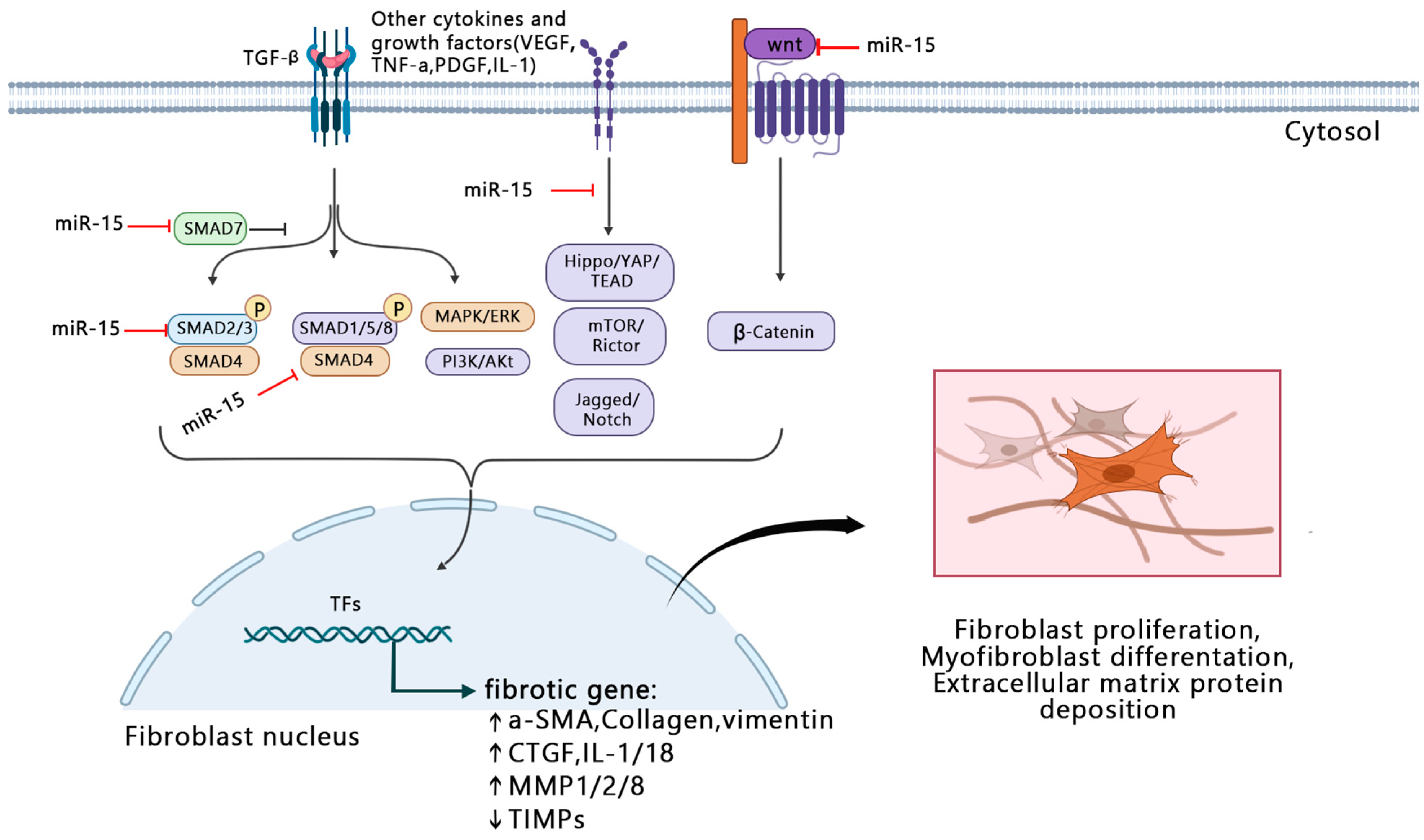 Ijms 23 16041 g001 Ijms 23 16041 g001