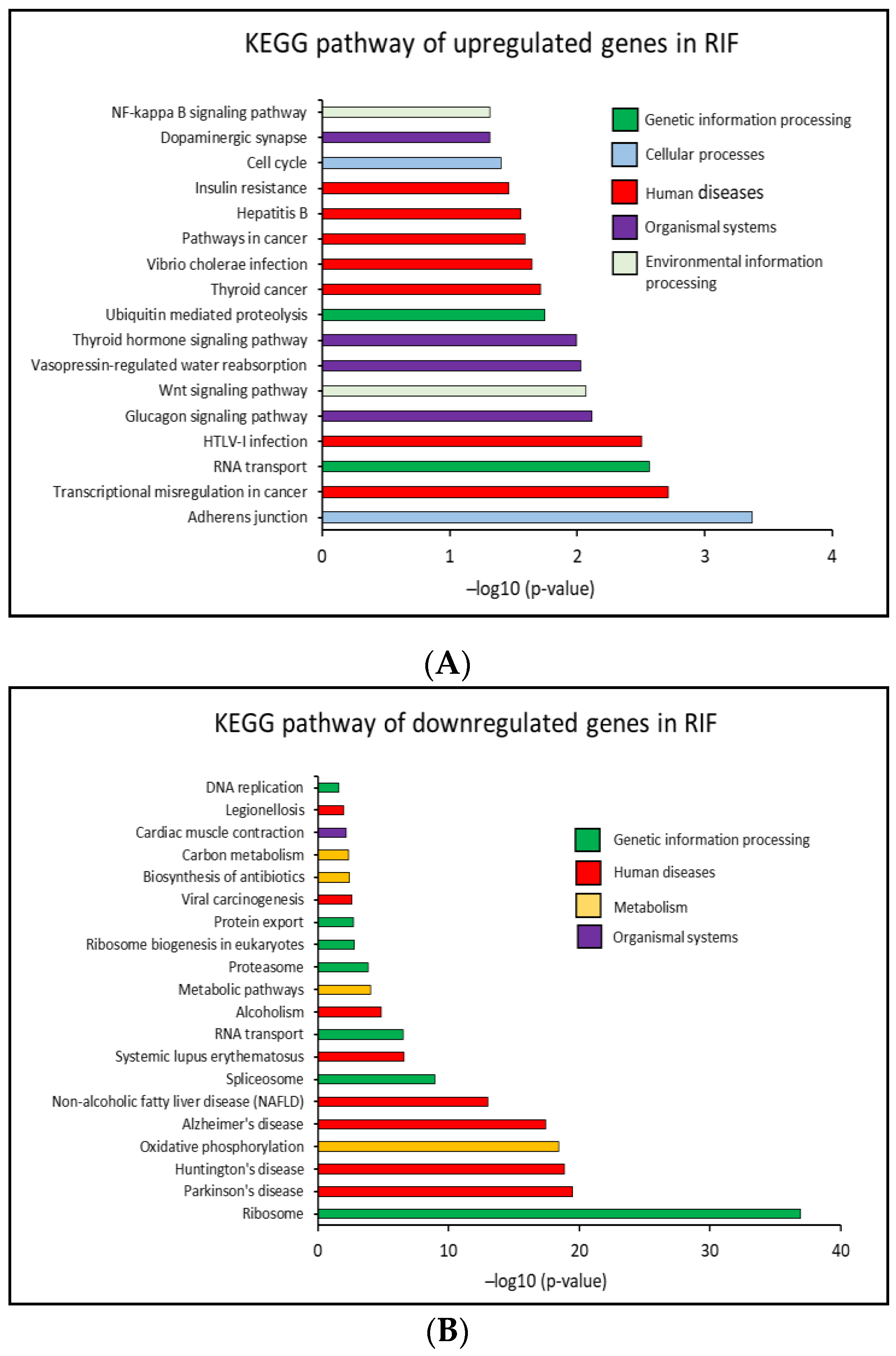 Ijms 23 16051 g003 Ijms 23 16051 g003