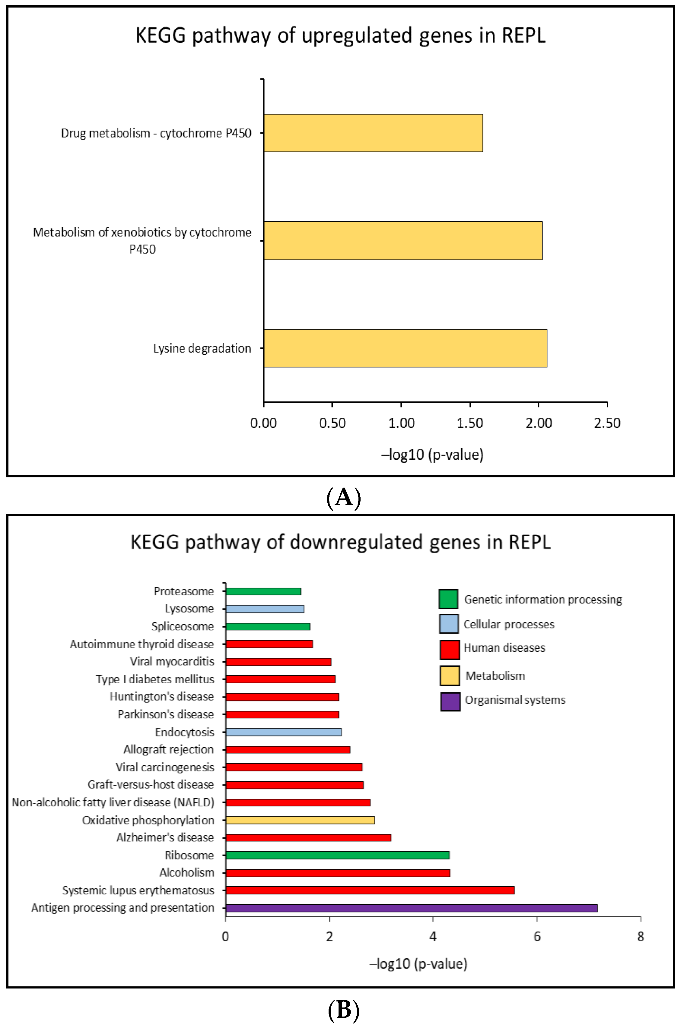 Ijms 23 16051 g004 Ijms 23 16051 g004