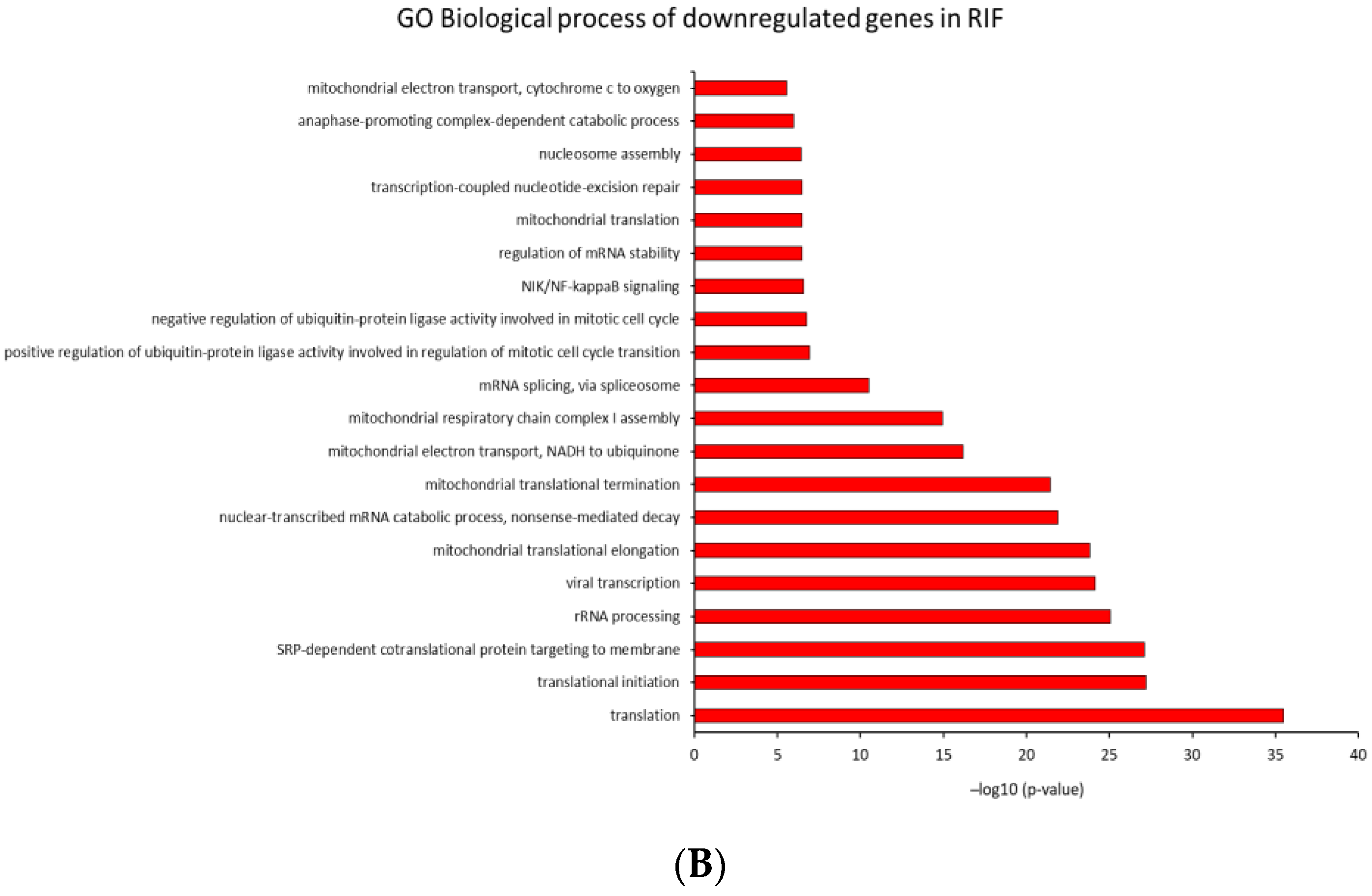 Ijms 23 16051 g005c Ijms 23 16051 g005c