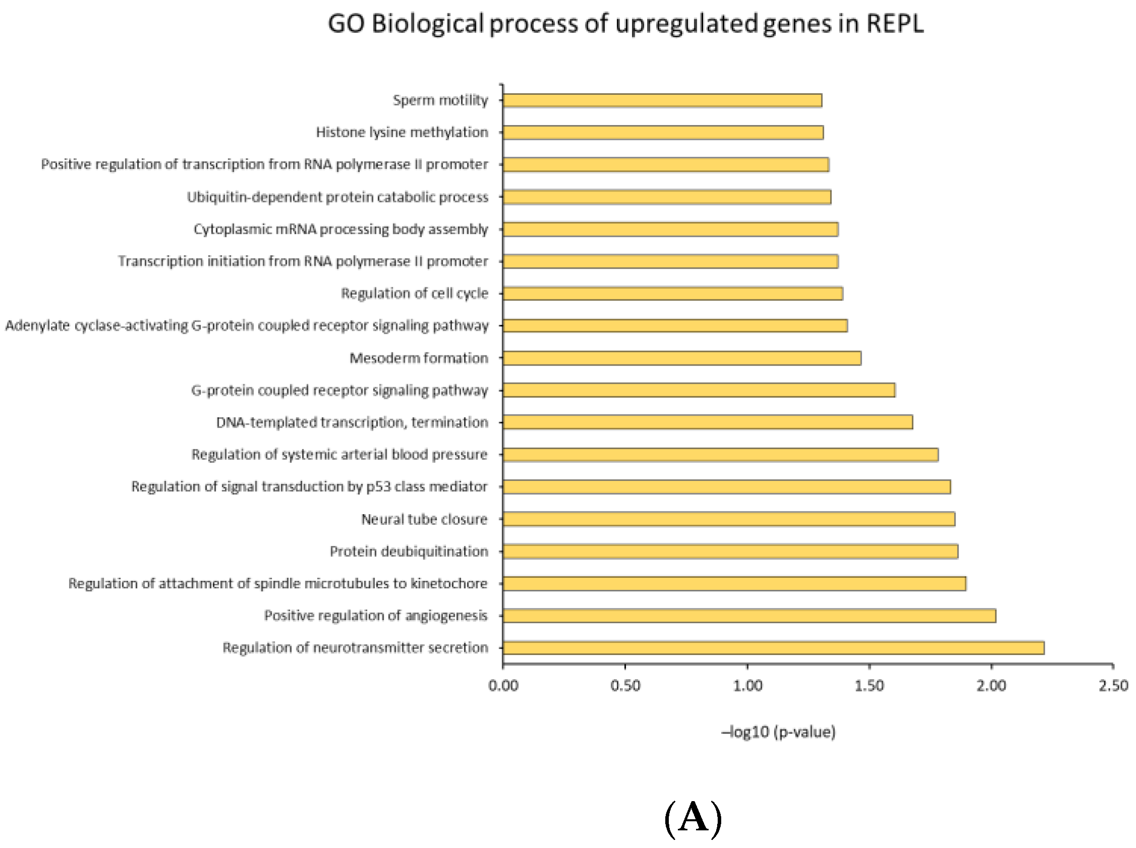 Ijms 23 16051 g006b Ijms 23 16051 g006b