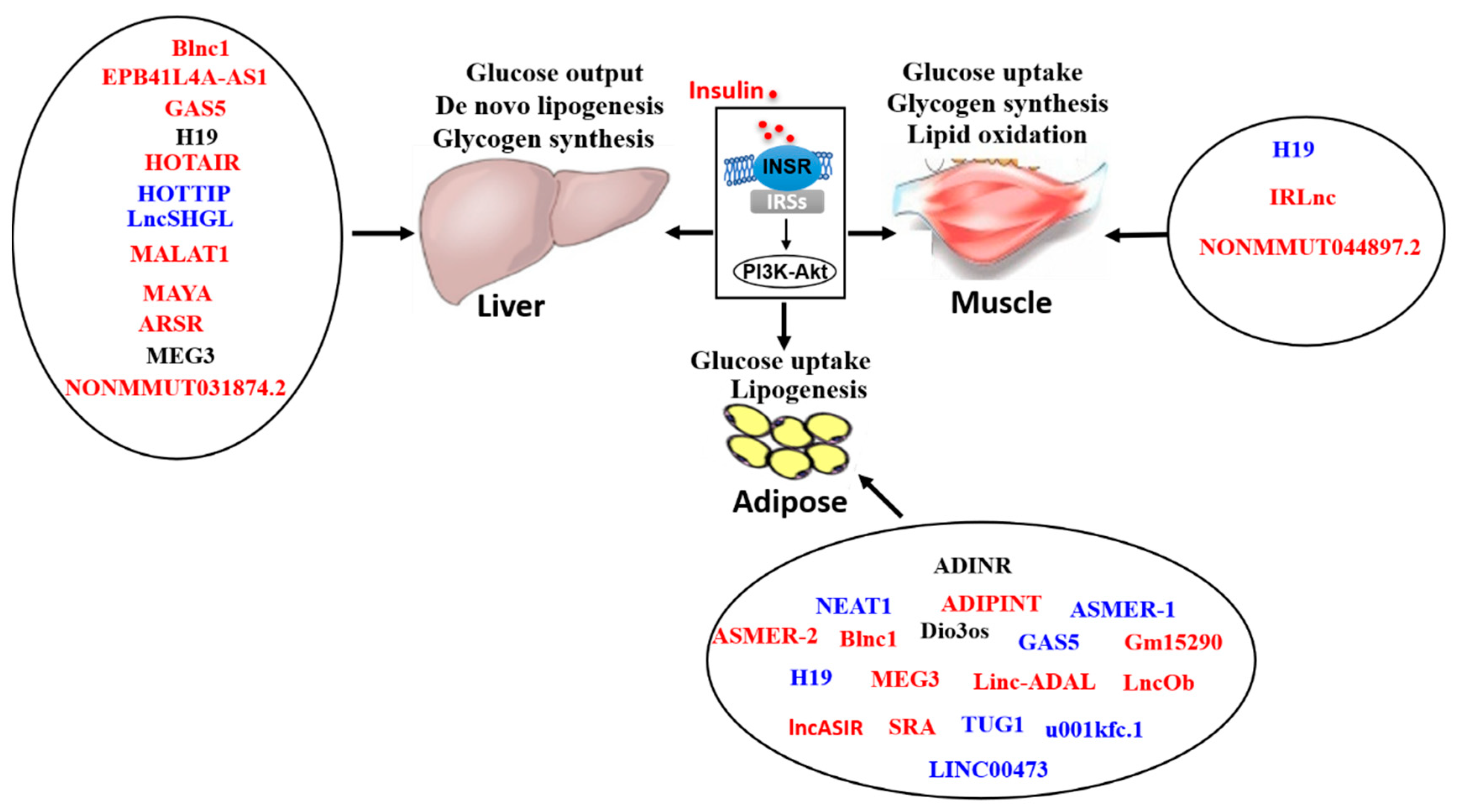 Ijms 23 16054 g001 Ijms 23 16054 g001