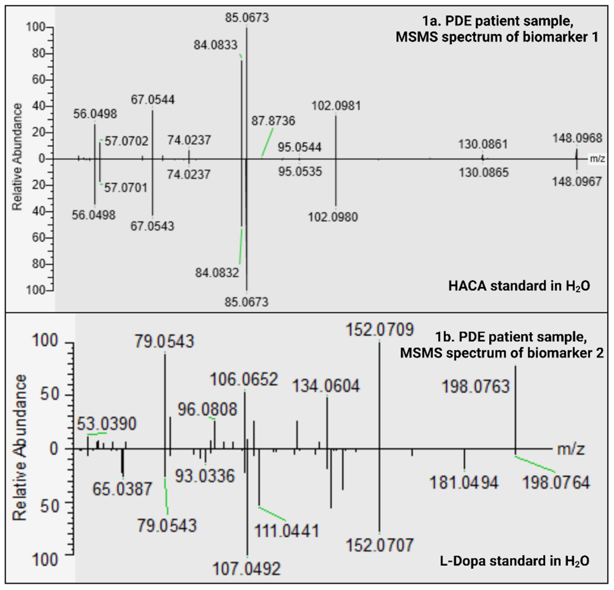 Ijms 23 16061 g001 Ijms 23 16061 g001