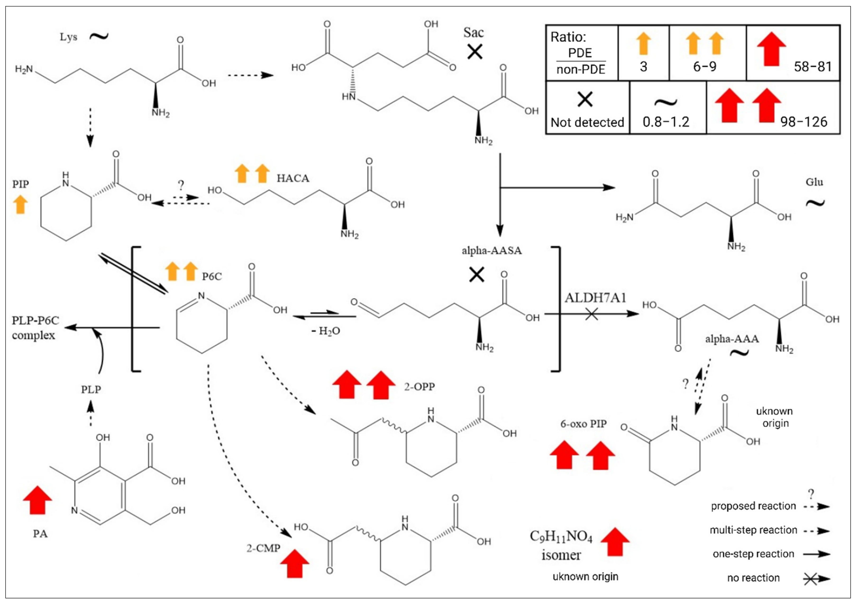 Ijms 23 16061 g003 Ijms 23 16061 g003