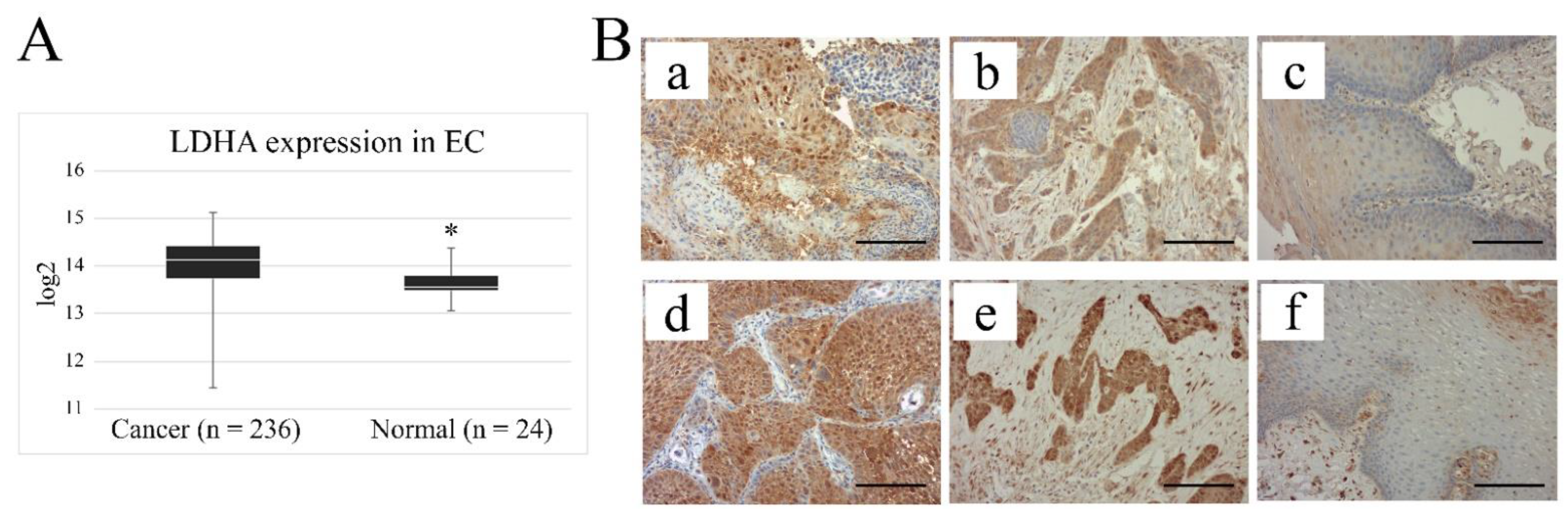 Ijms 23 16062 g001 Ijms 23 16062 g001