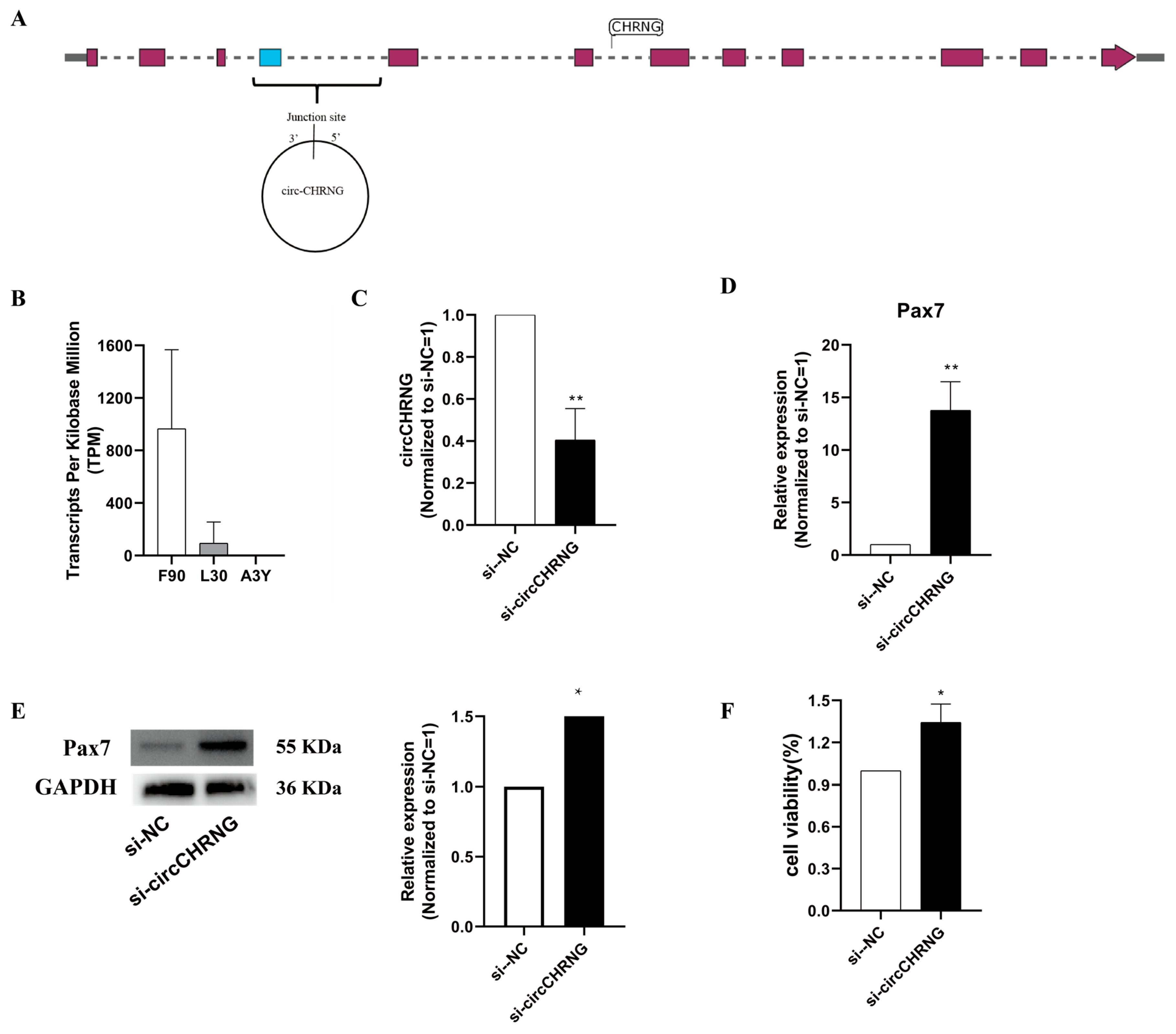 Ijms 23 16065 g005 Ijms 23 16065 g005
