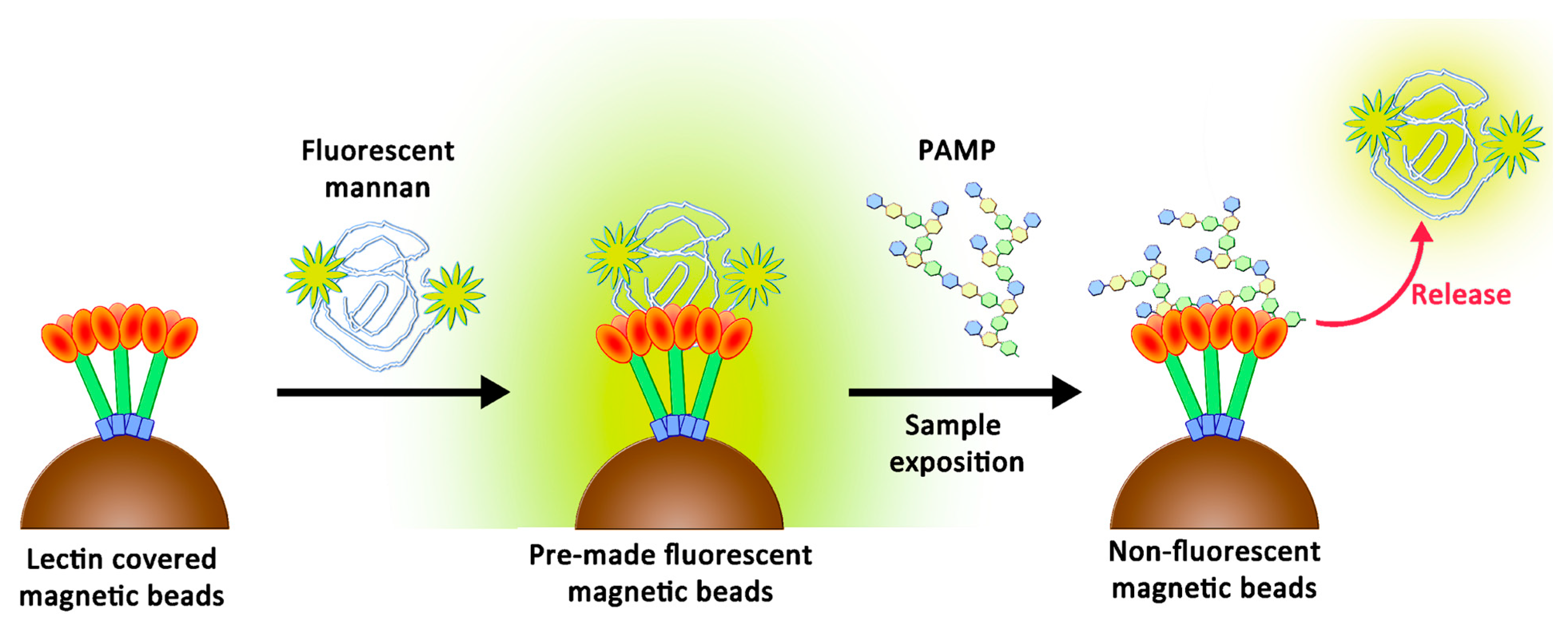 Ijms 23 16067 g002 Ijms 23 16067 g002