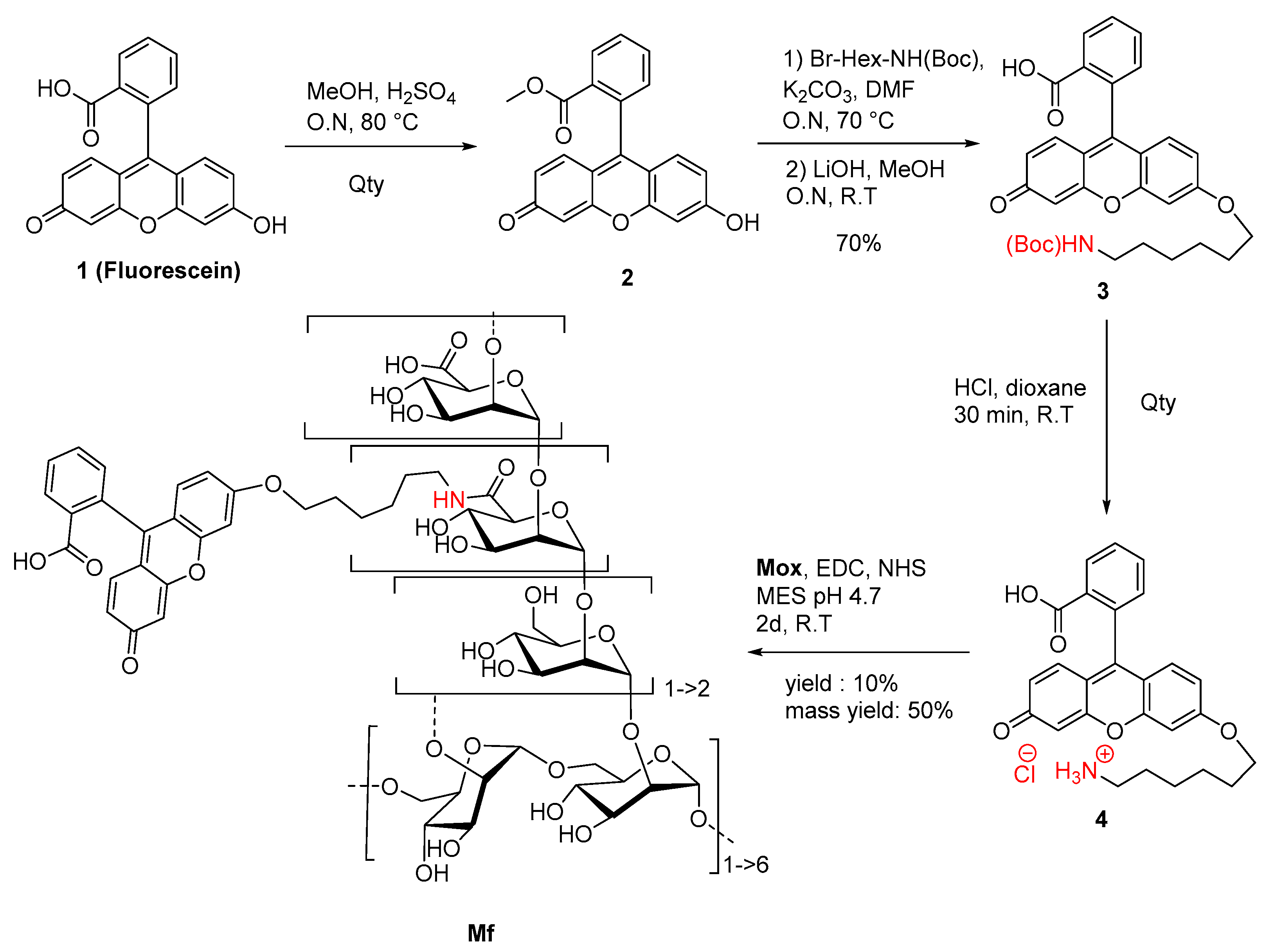 Ijms 23 16067 g005 Ijms 23 16067 g005