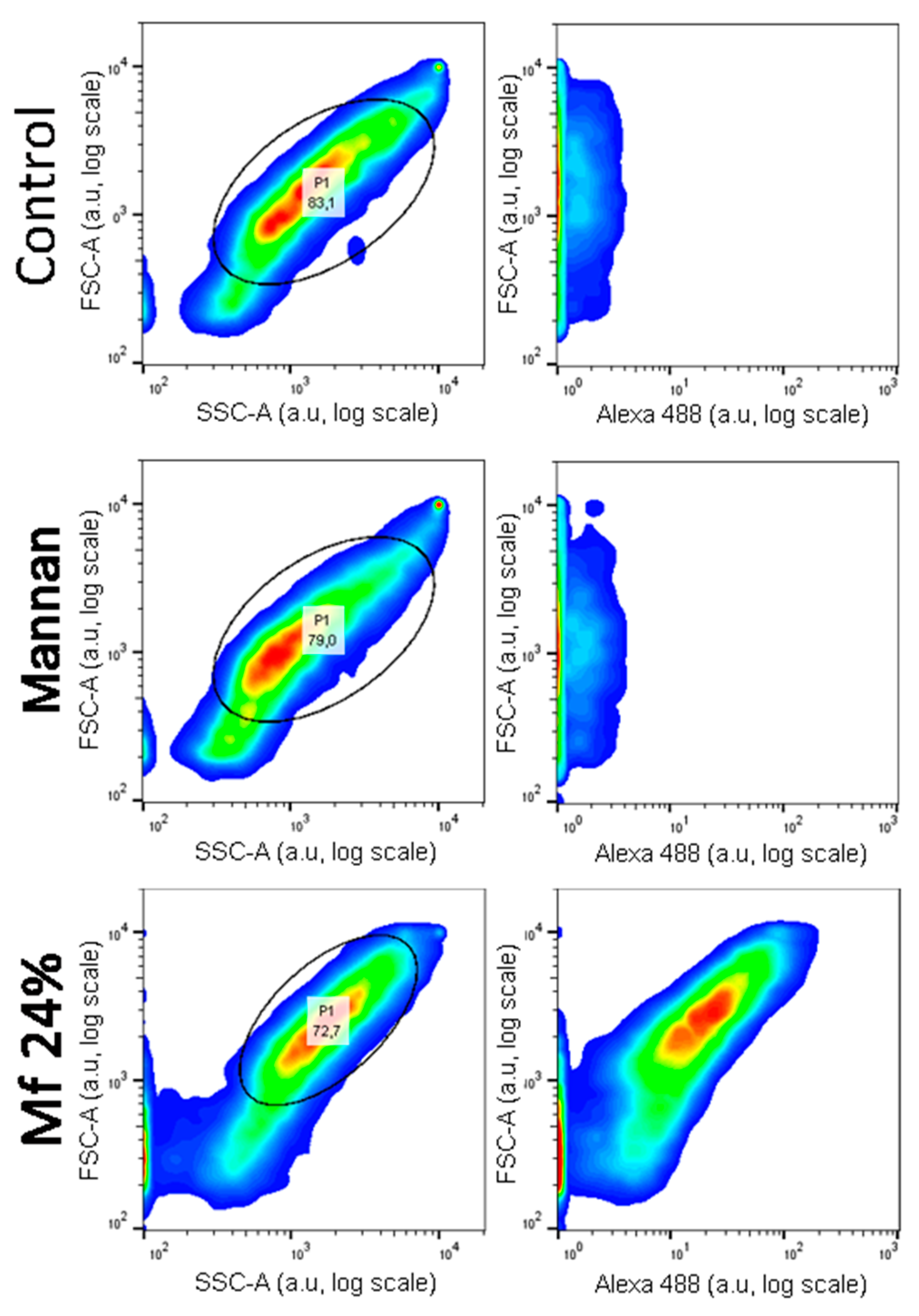 Ijms 23 16067 g012 Ijms 23 16067 g012