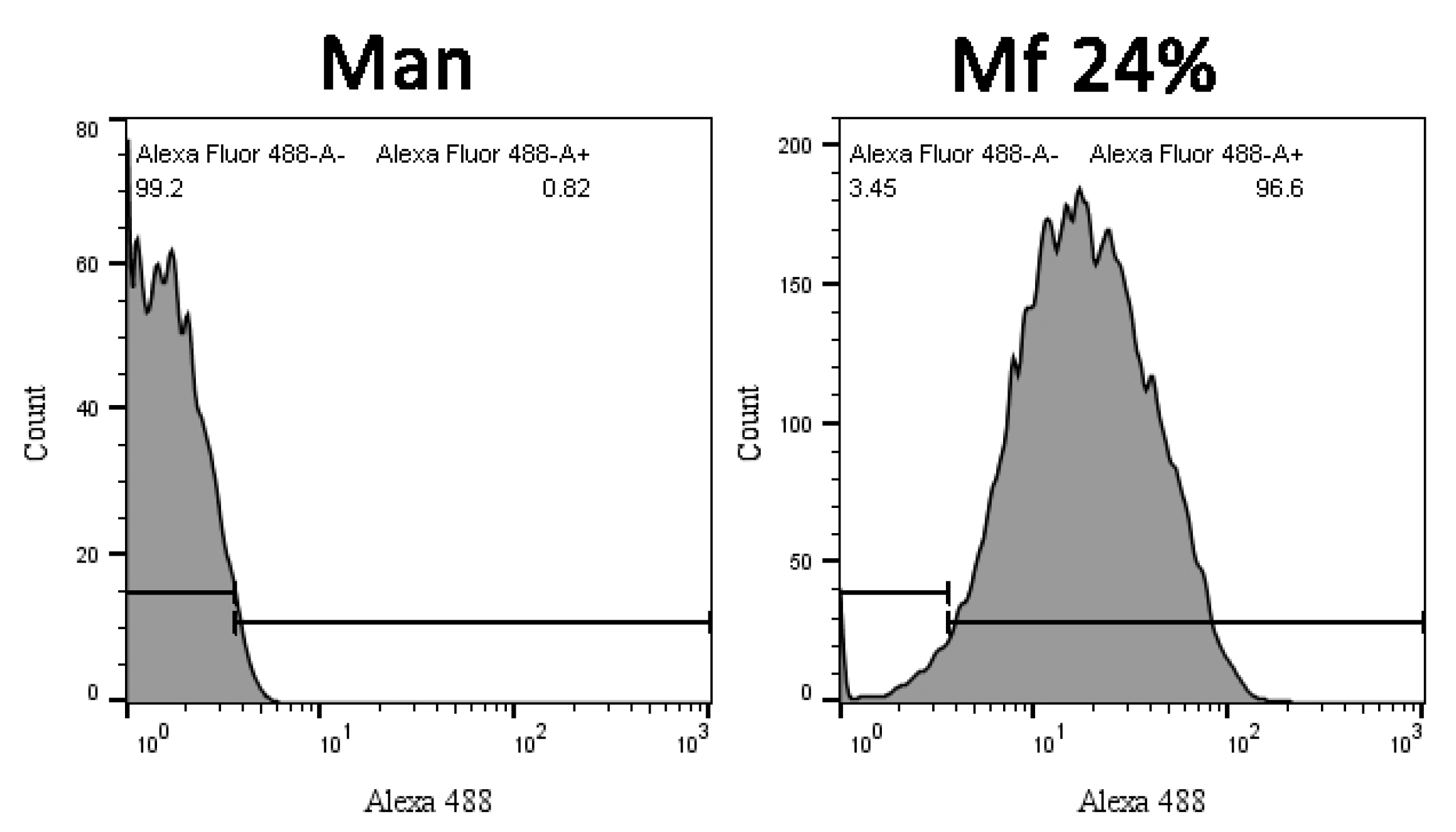 Ijms 23 16067 g013 Ijms 23 16067 g013