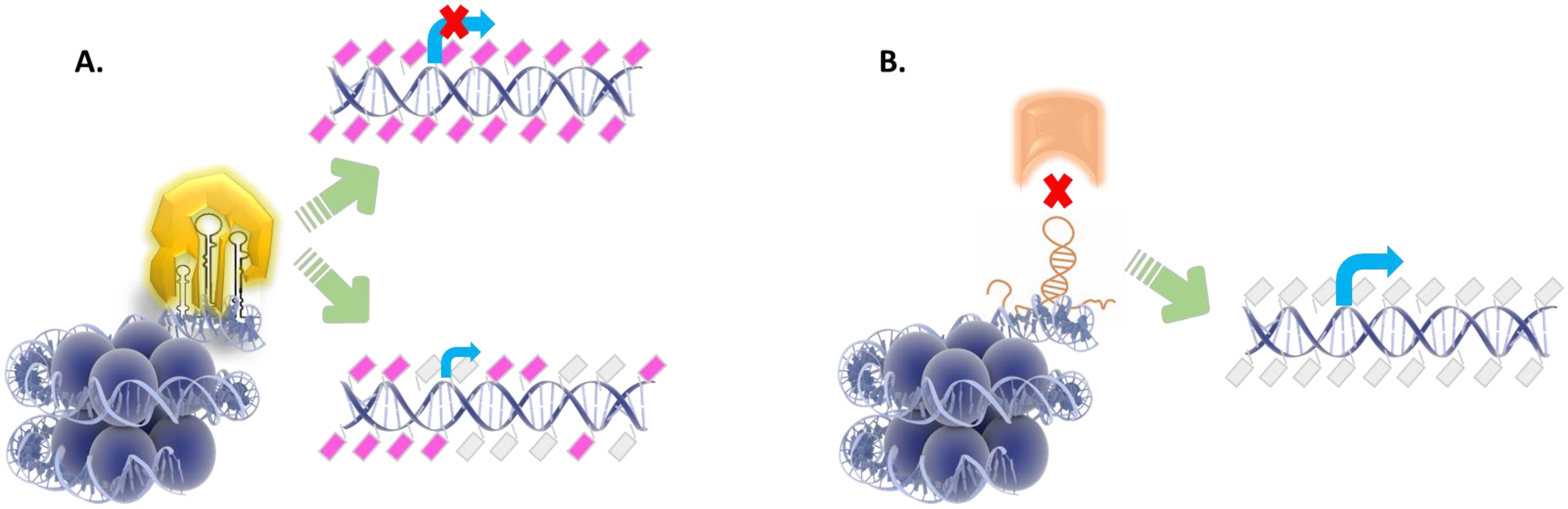 IJMS | Free Full-Text | Contingent Synergistic Interactions between Non ...