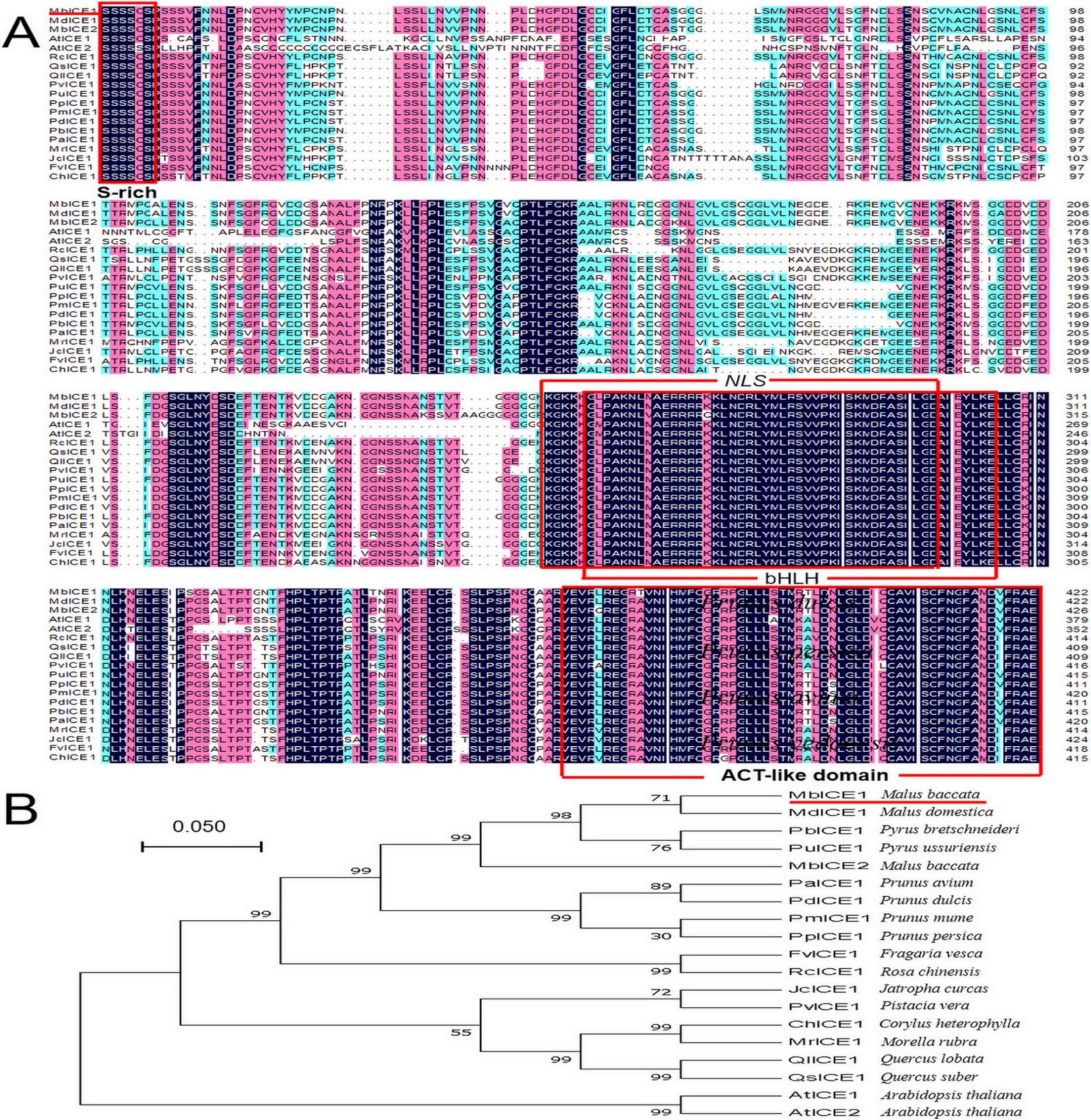 Ijms 23 16072 g001 Ijms 23 16072 g001