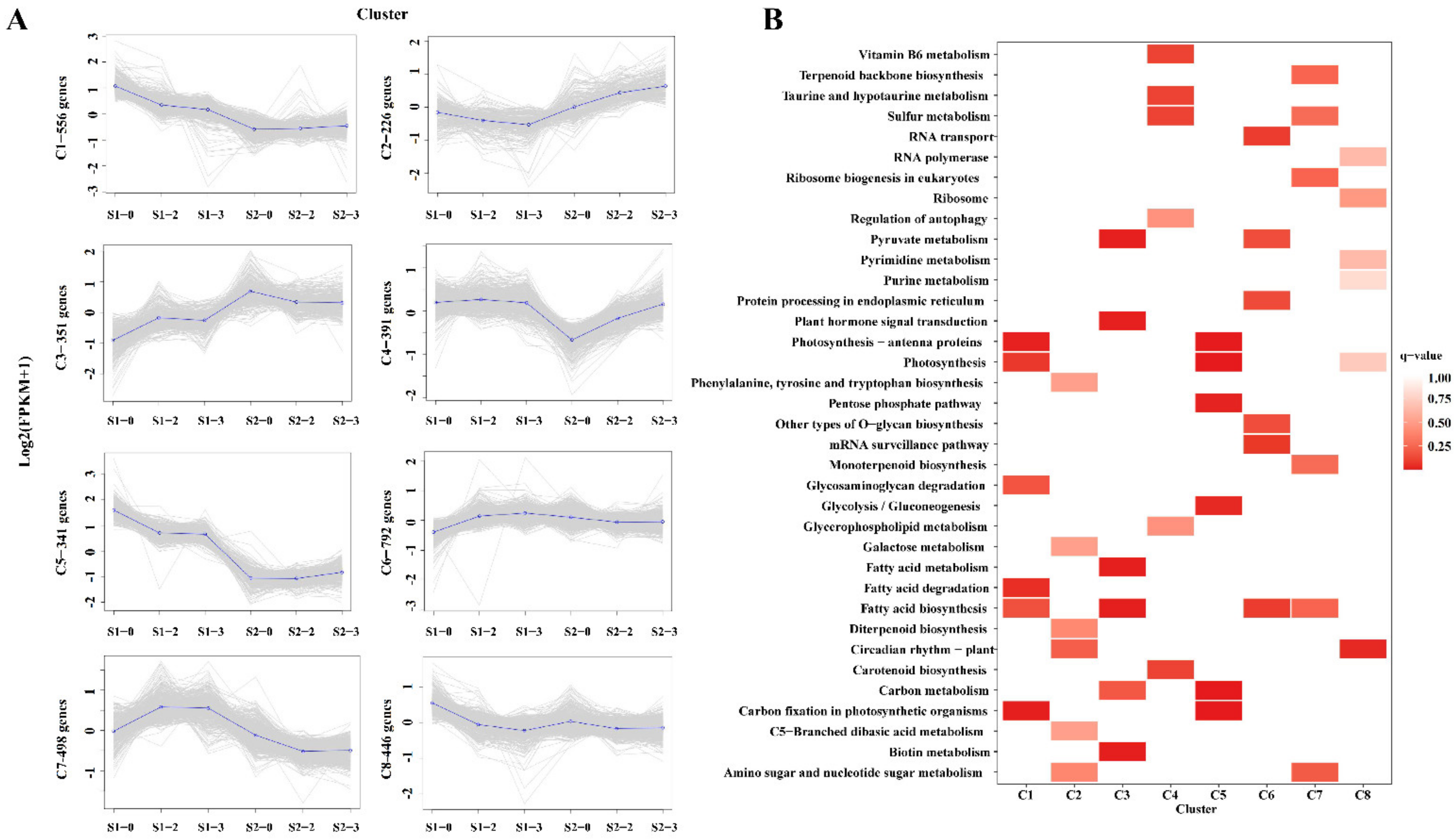 Ijms 23 16073 g004 Ijms 23 16073 g004