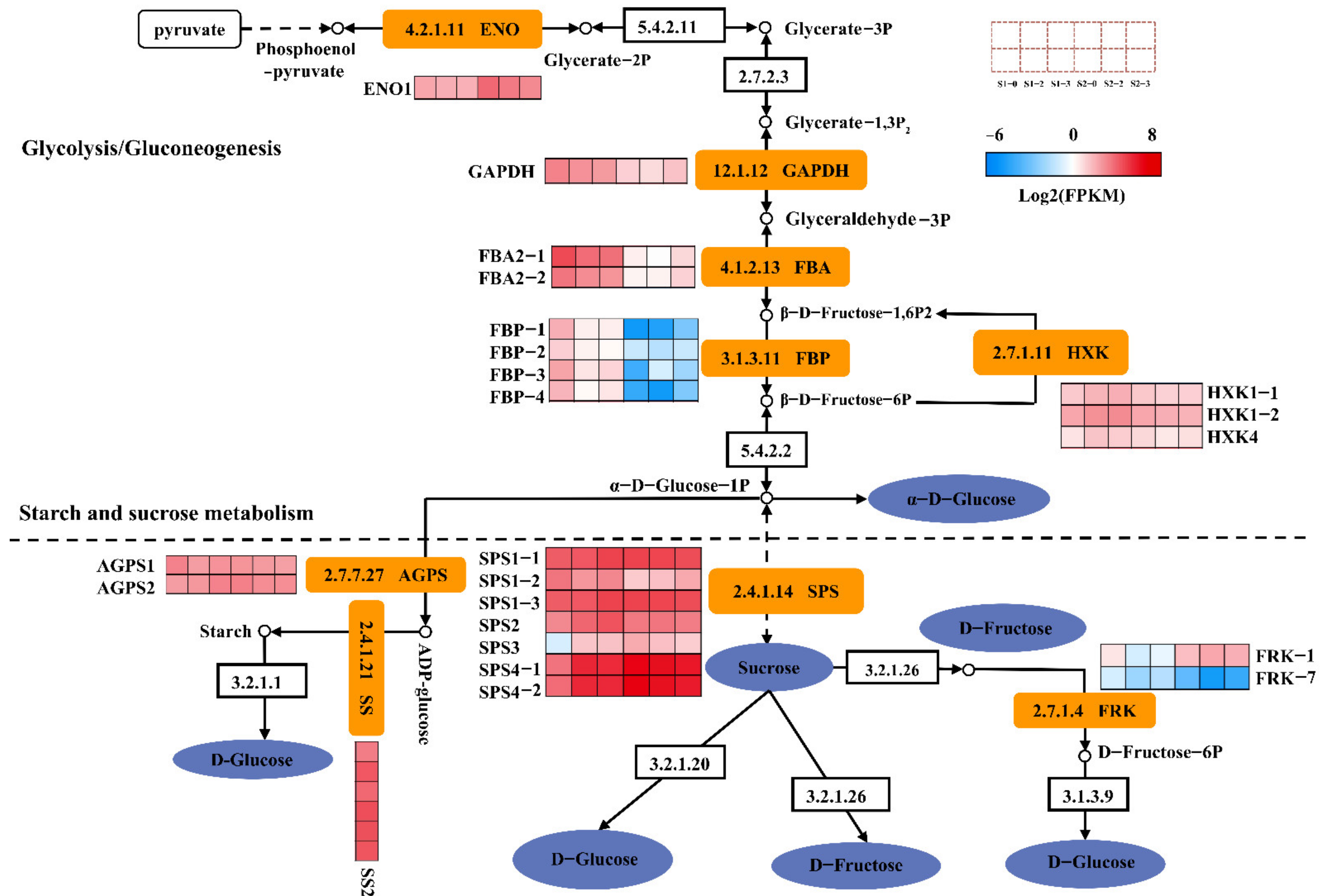 Ijms 23 16073 g006 Ijms 23 16073 g006