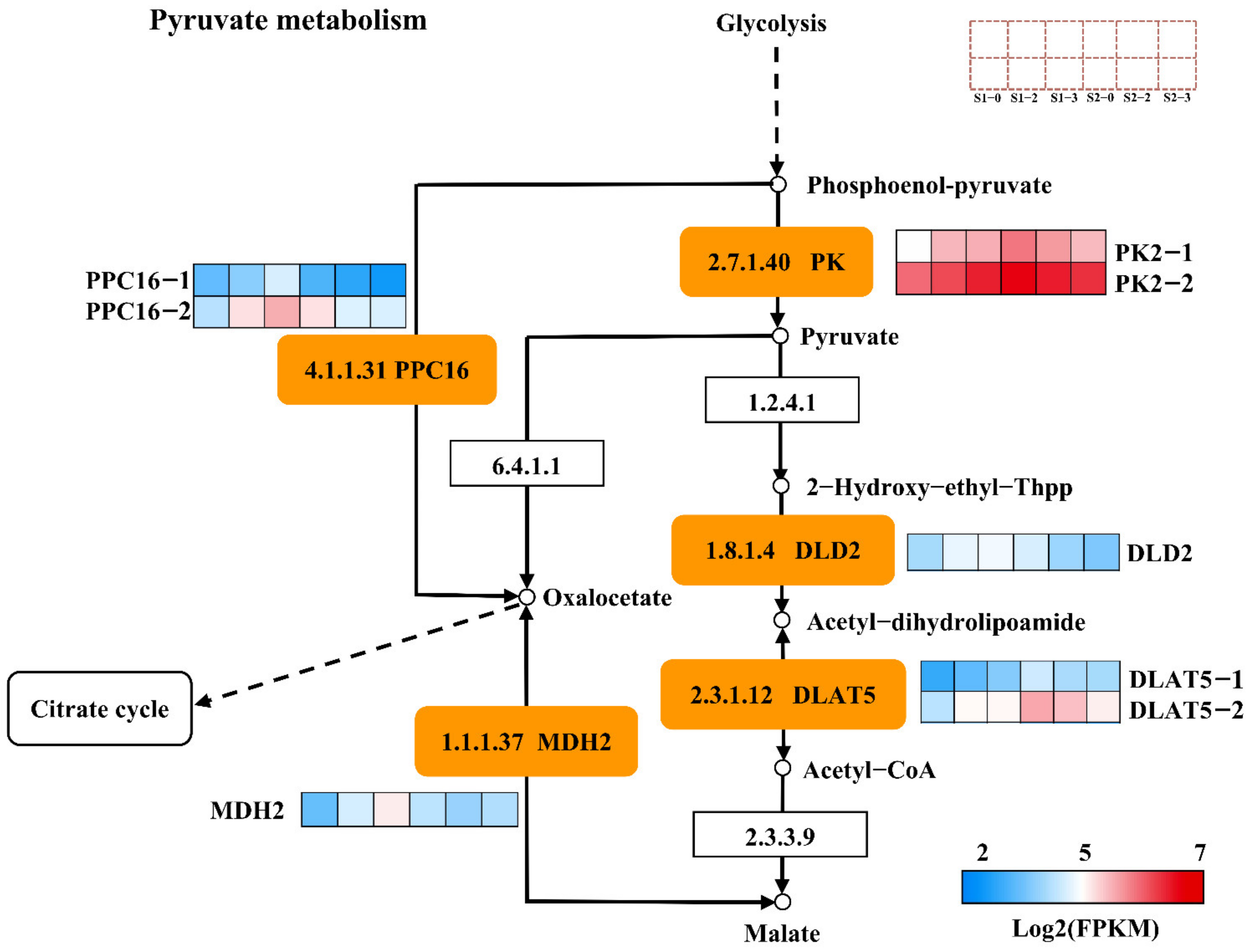 Ijms 23 16073 g007 Ijms 23 16073 g007