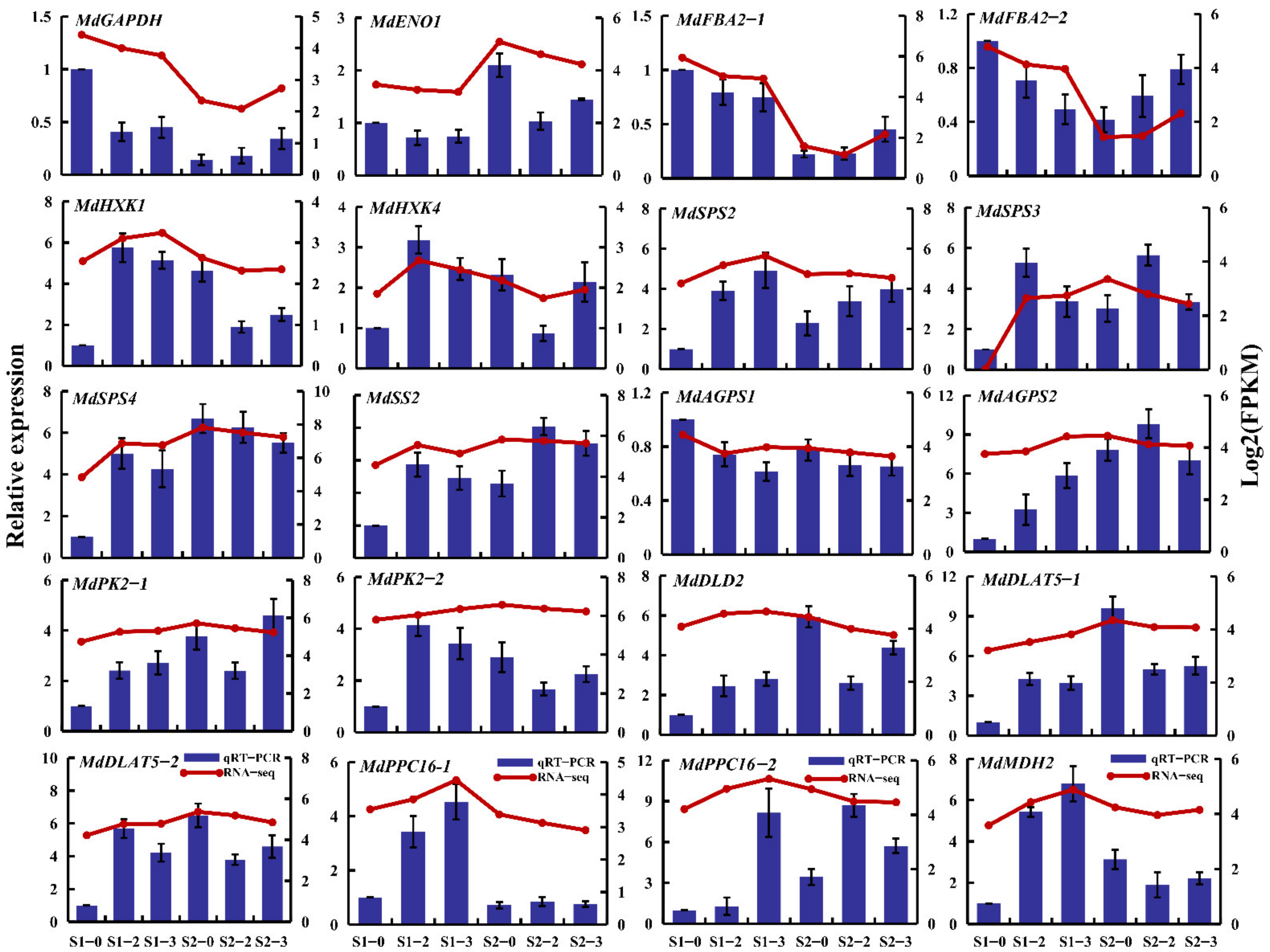 Ijms 23 16073 g008 Ijms 23 16073 g008