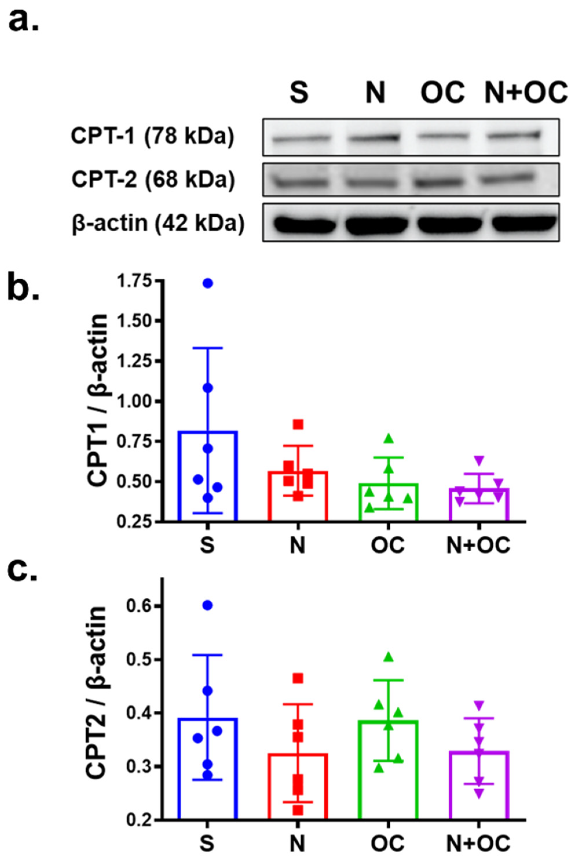 Ijms 23 16075 g004 Ijms 23 16075 g004