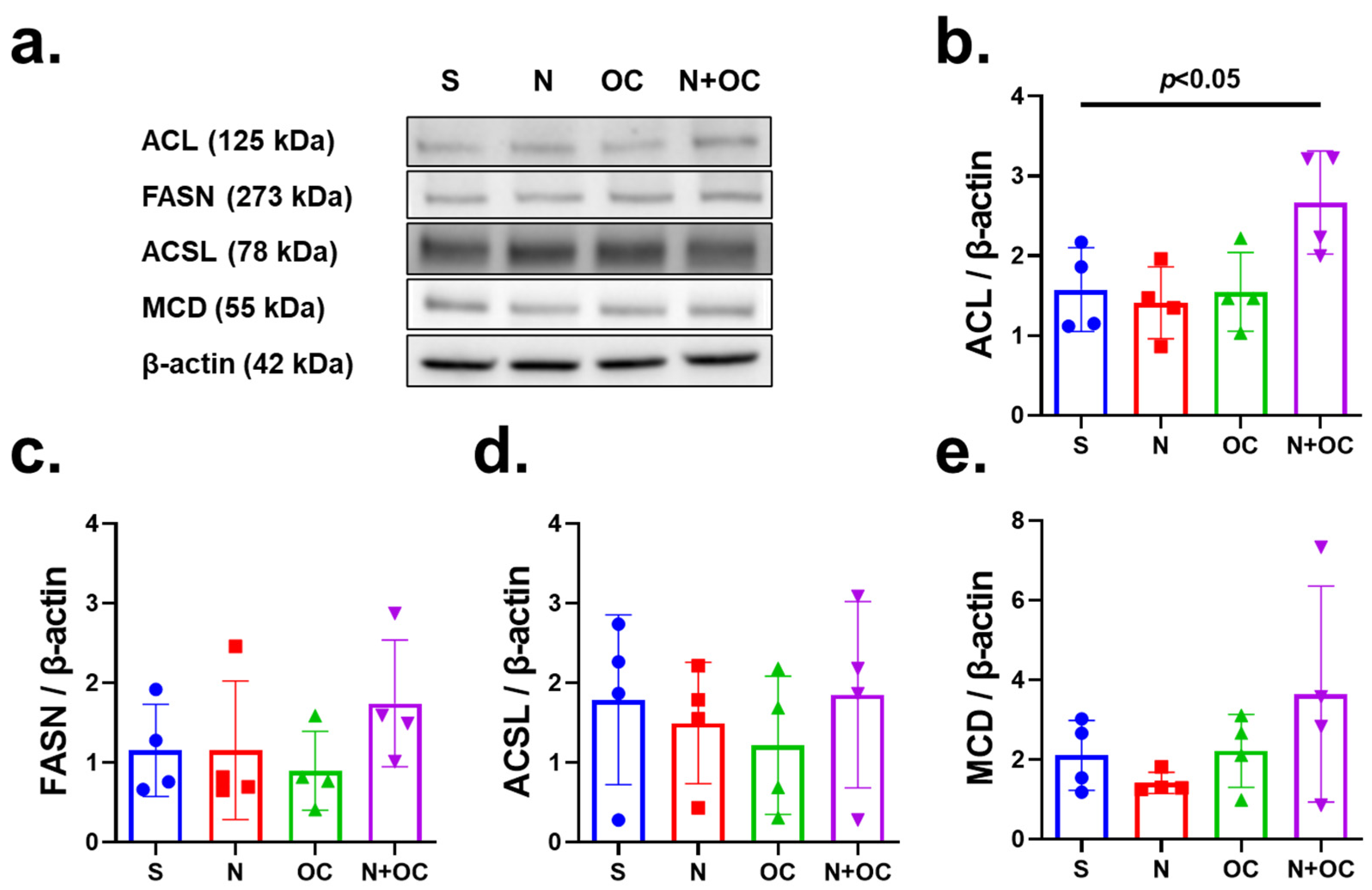 Ijms 23 16075 g005 Ijms 23 16075 g005