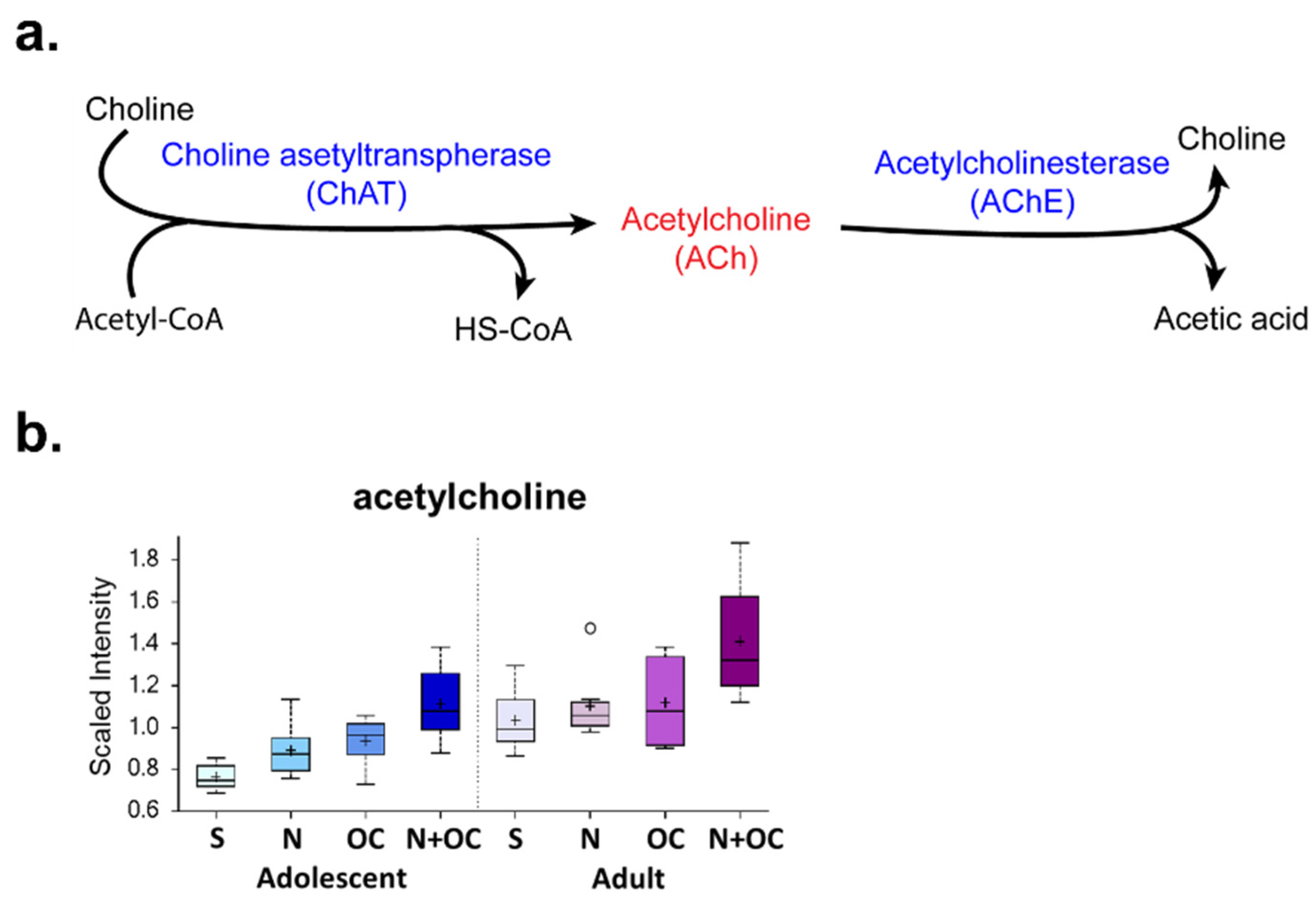 Ijms 23 16075 g007 Ijms 23 16075 g007