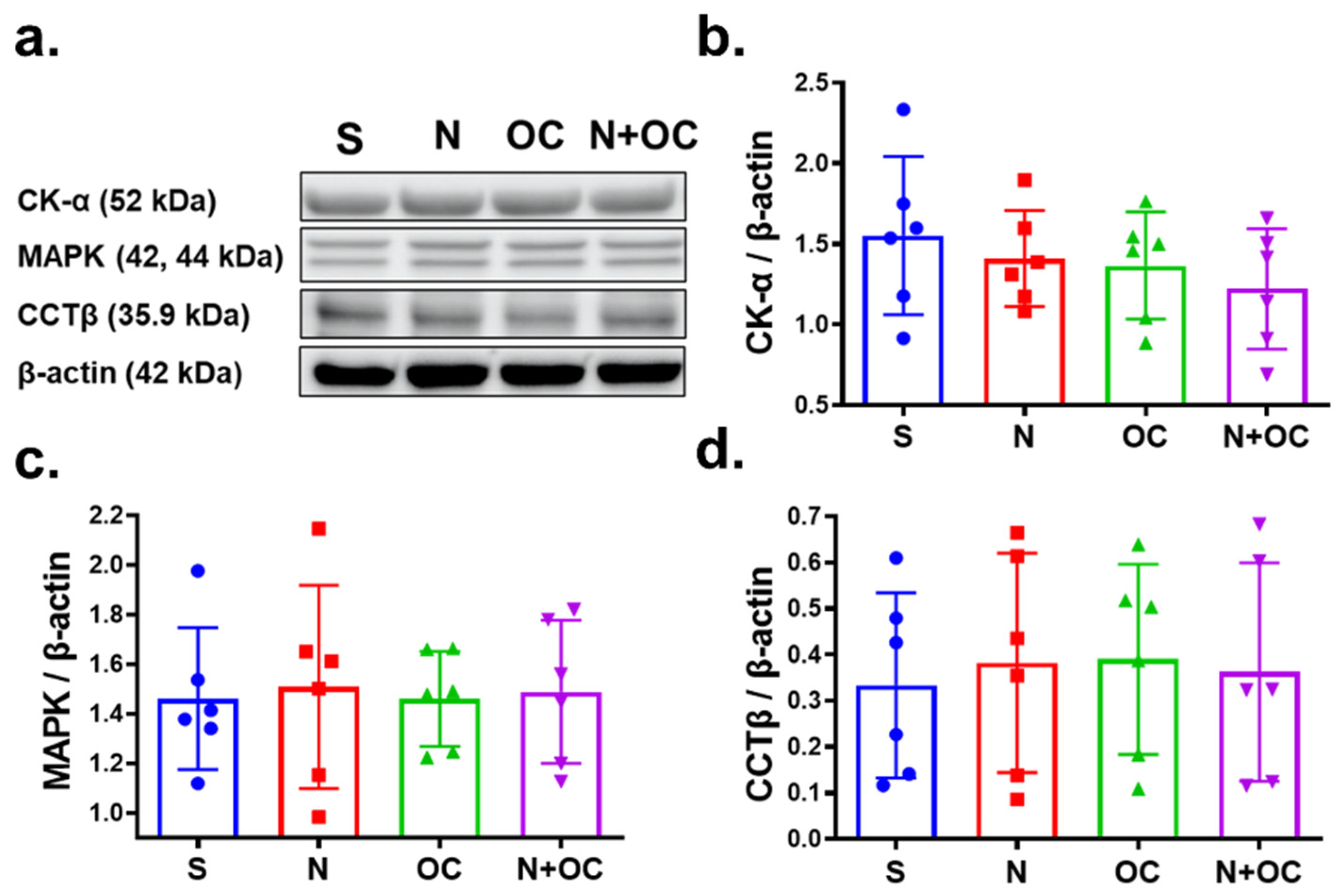 Ijms 23 16075 g008 Ijms 23 16075 g008