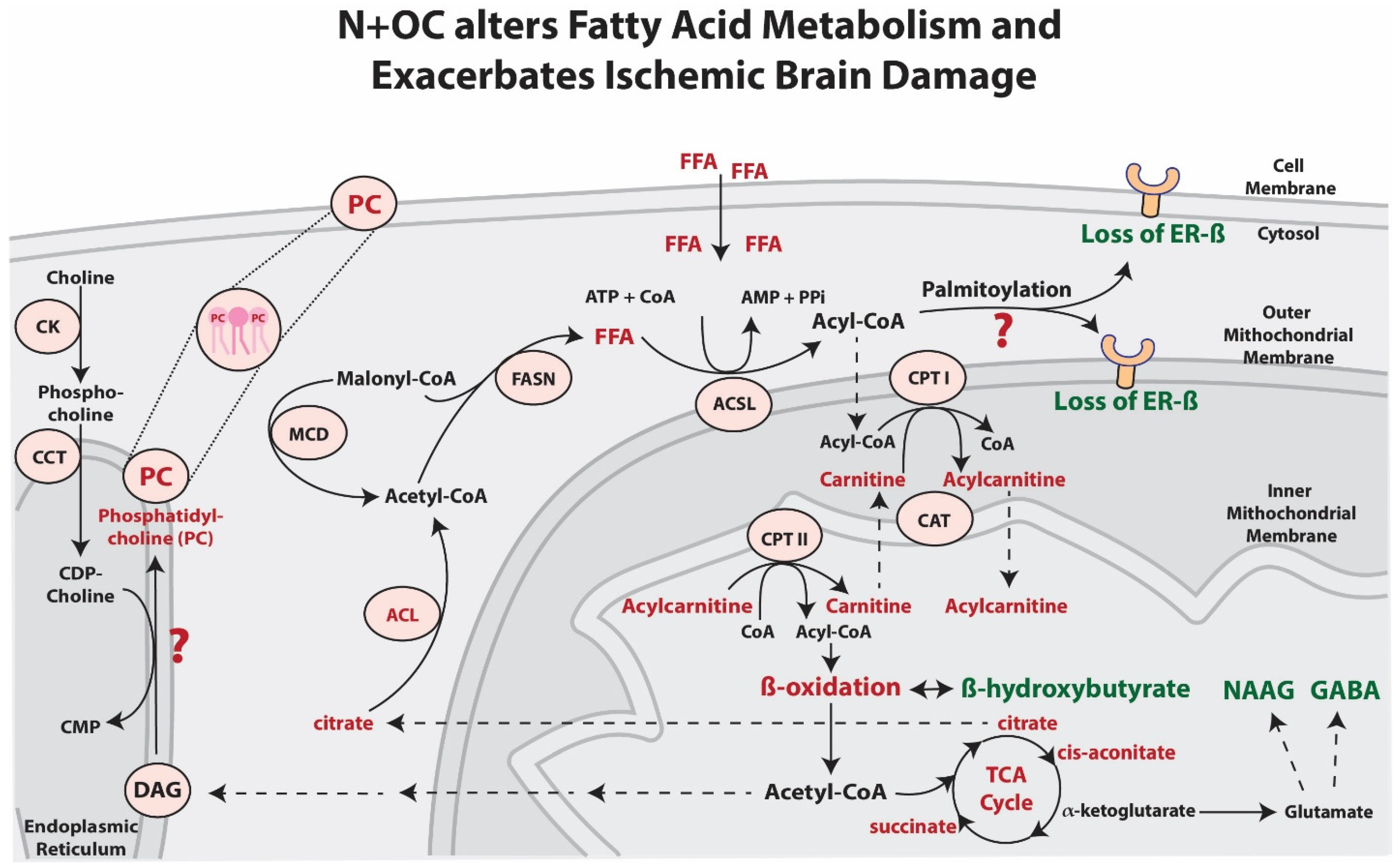 Ijms 23 16075 g009 Ijms 23 16075 g009
