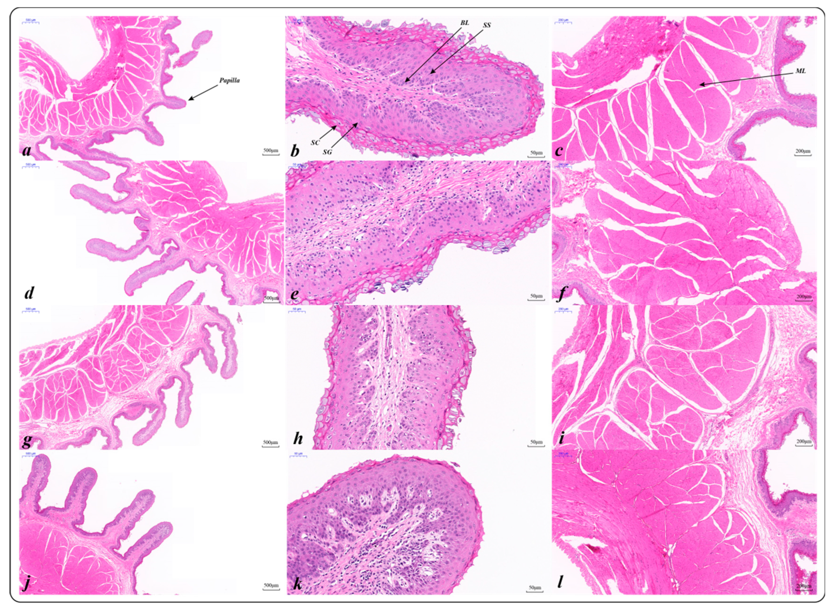 Ijms 23 16078 g002 Ijms 23 16078 g002