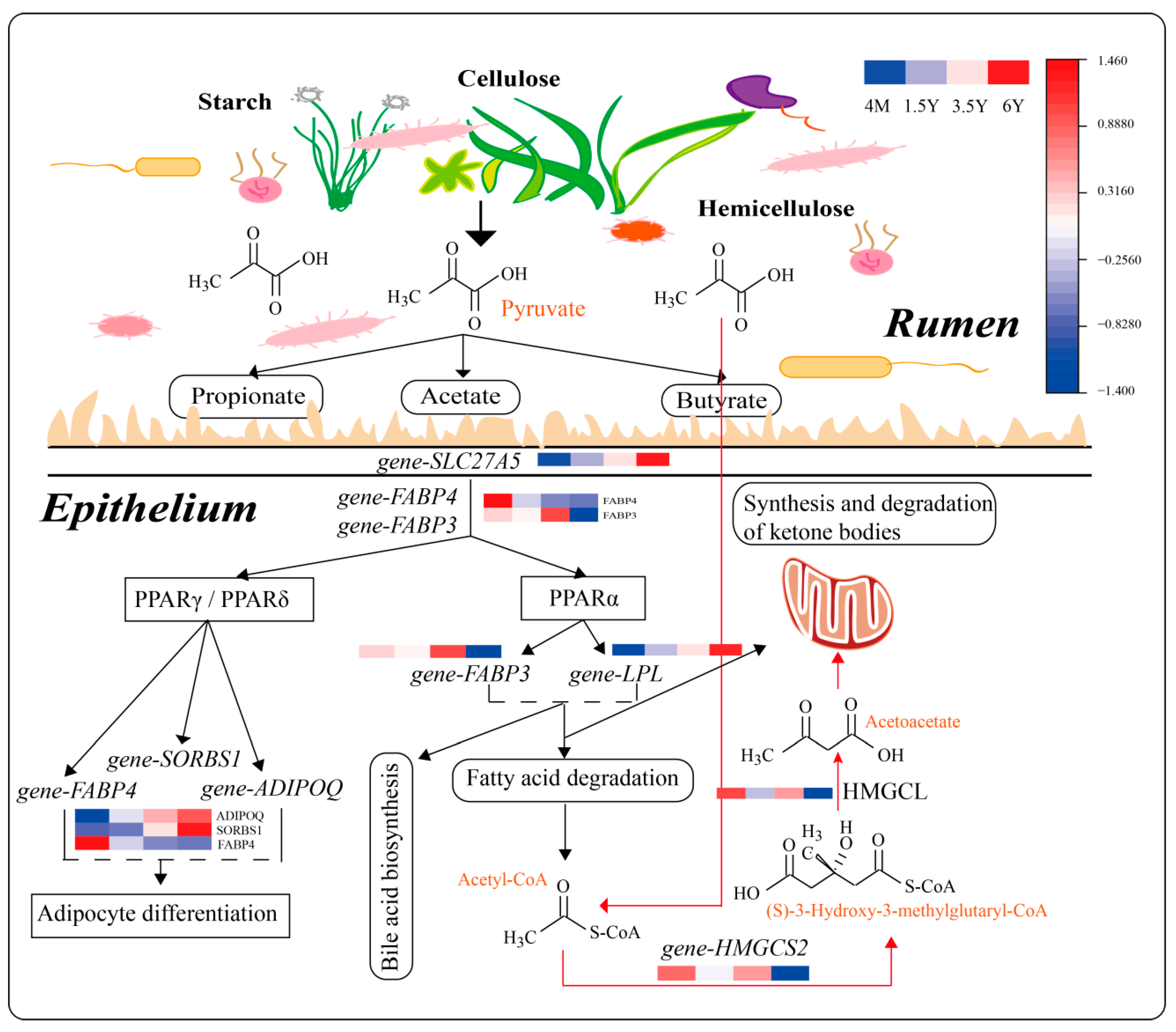Ijms 23 16078 g009 Ijms 23 16078 g009