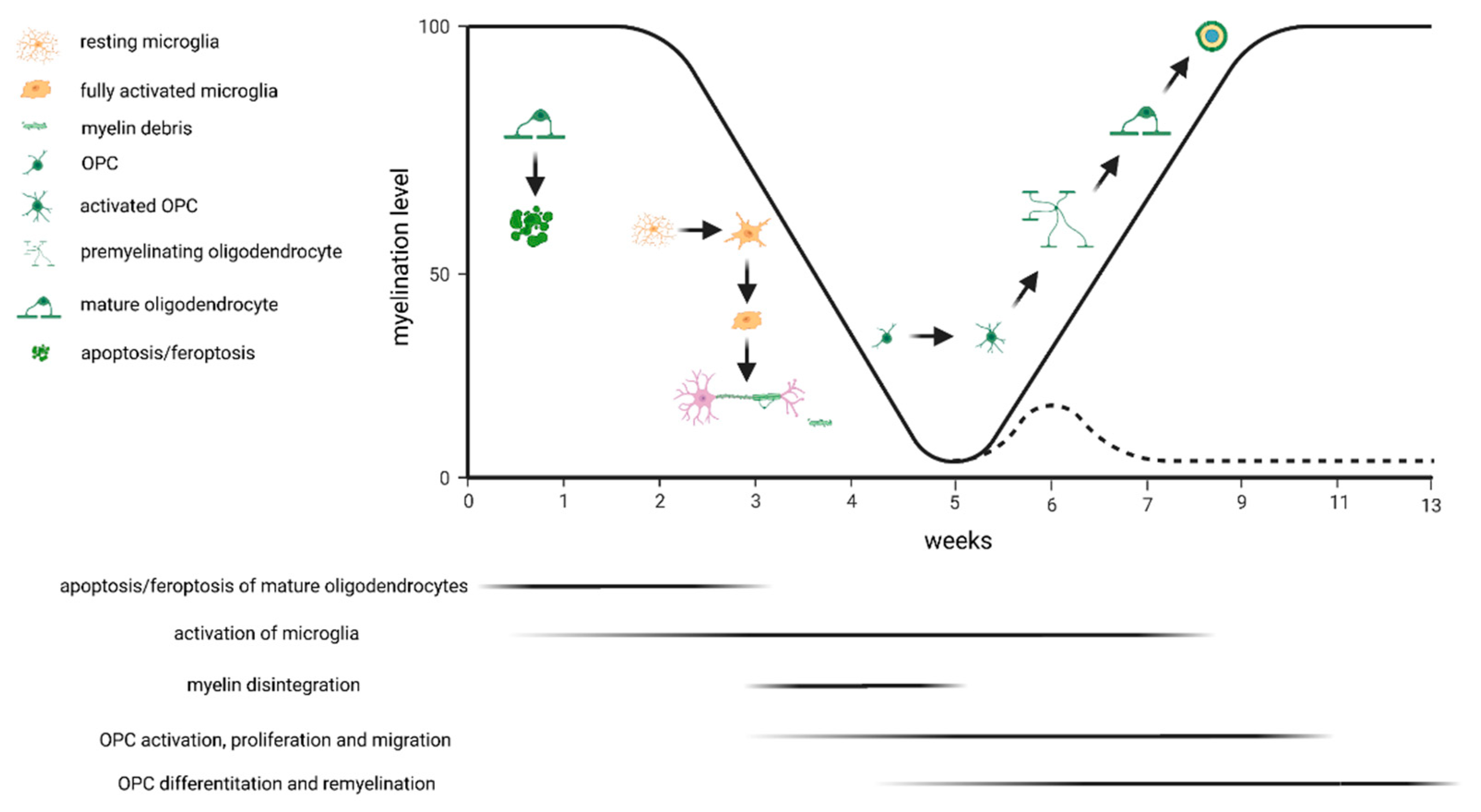 Ijms 23 16093 g001 Ijms 23 16093 g001