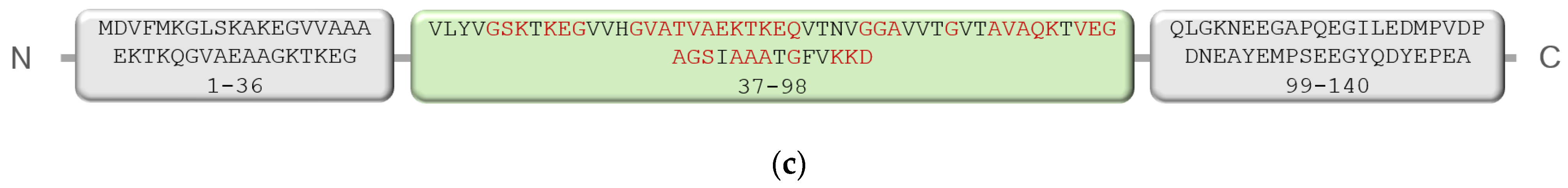 Ijms 23 16096 g001b Ijms 23 16096 g001b