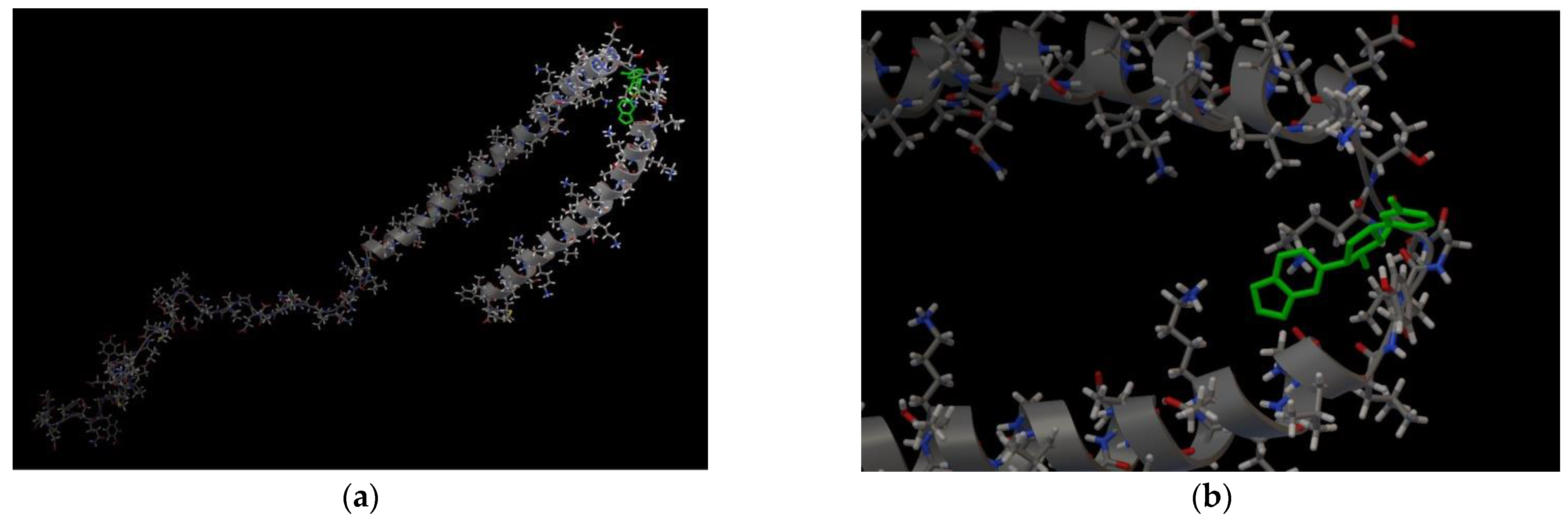 Ijms 23 16096 g002a Ijms 23 16096 g002a