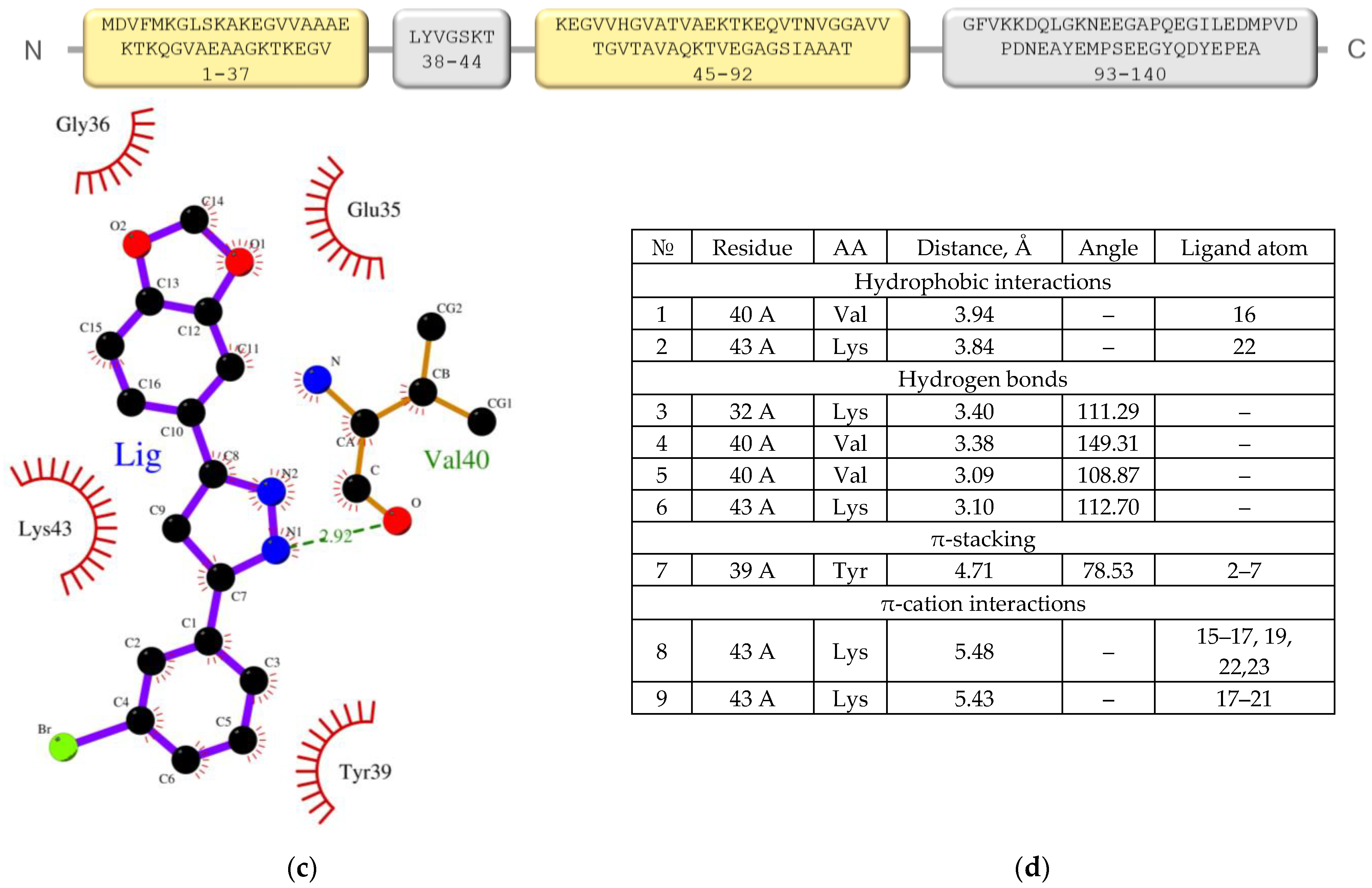 Ijms 23 16096 g002b Ijms 23 16096 g002b