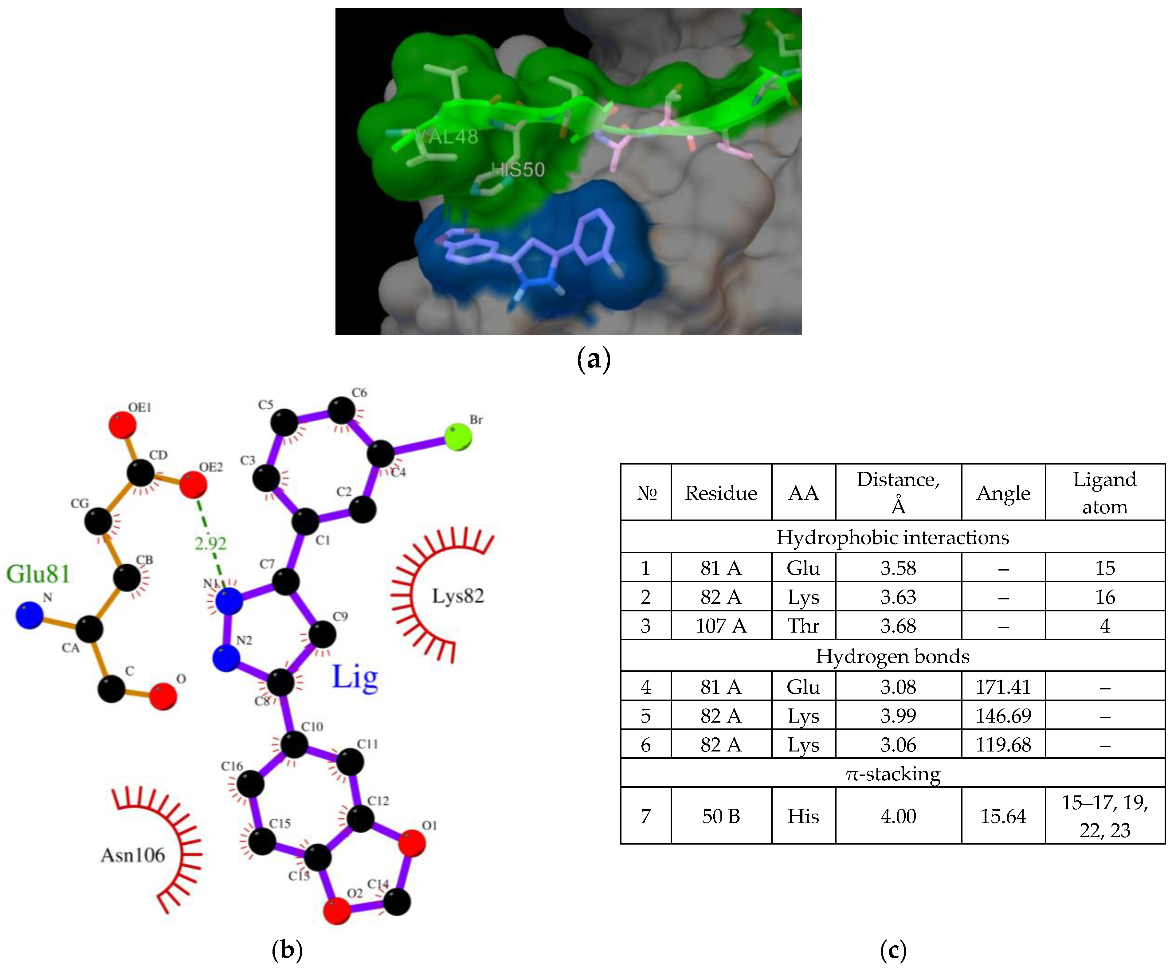 Ijms 23 16096 g003 Ijms 23 16096 g003