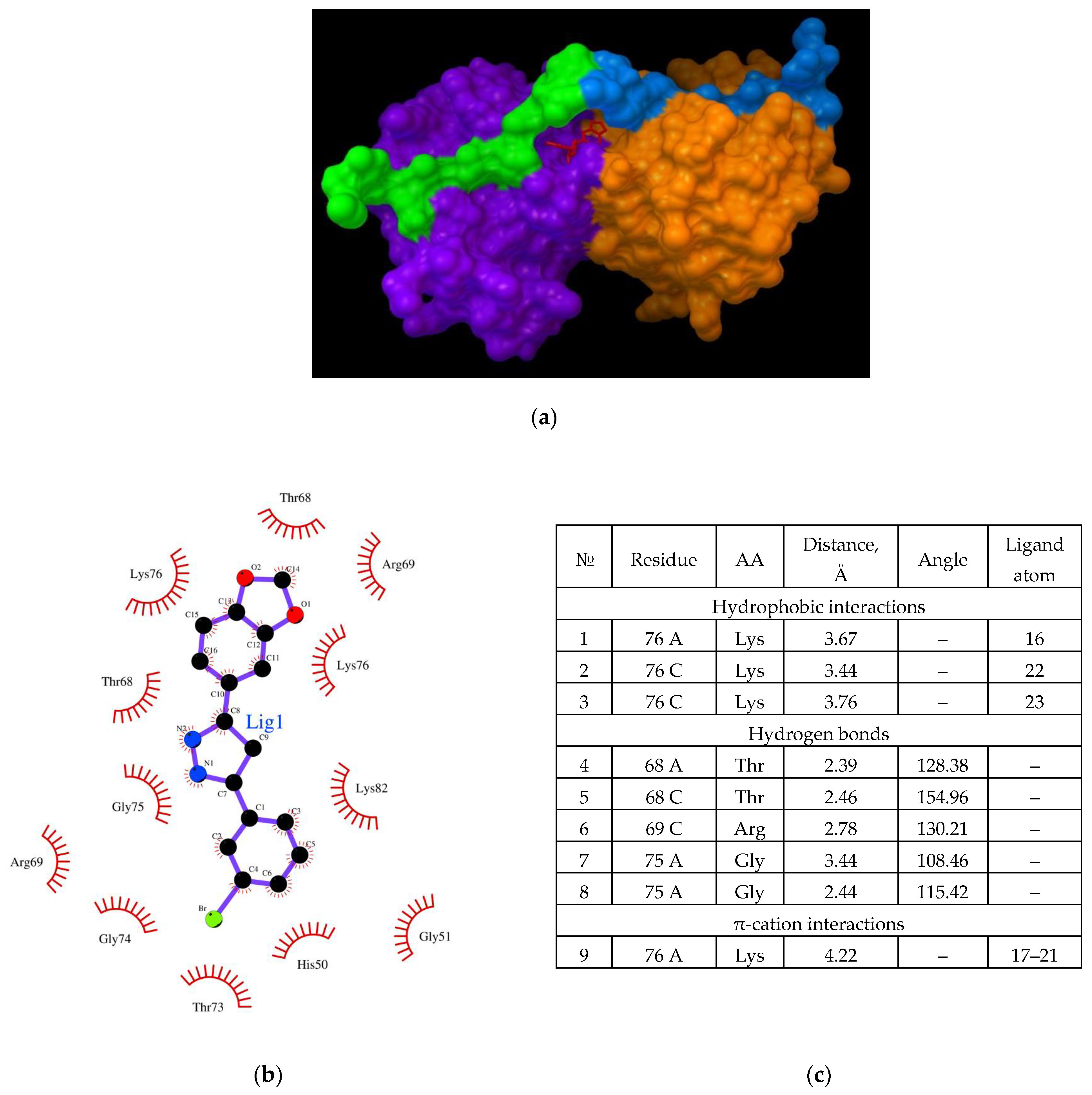 Ijms 23 16096 g006 Ijms 23 16096 g006